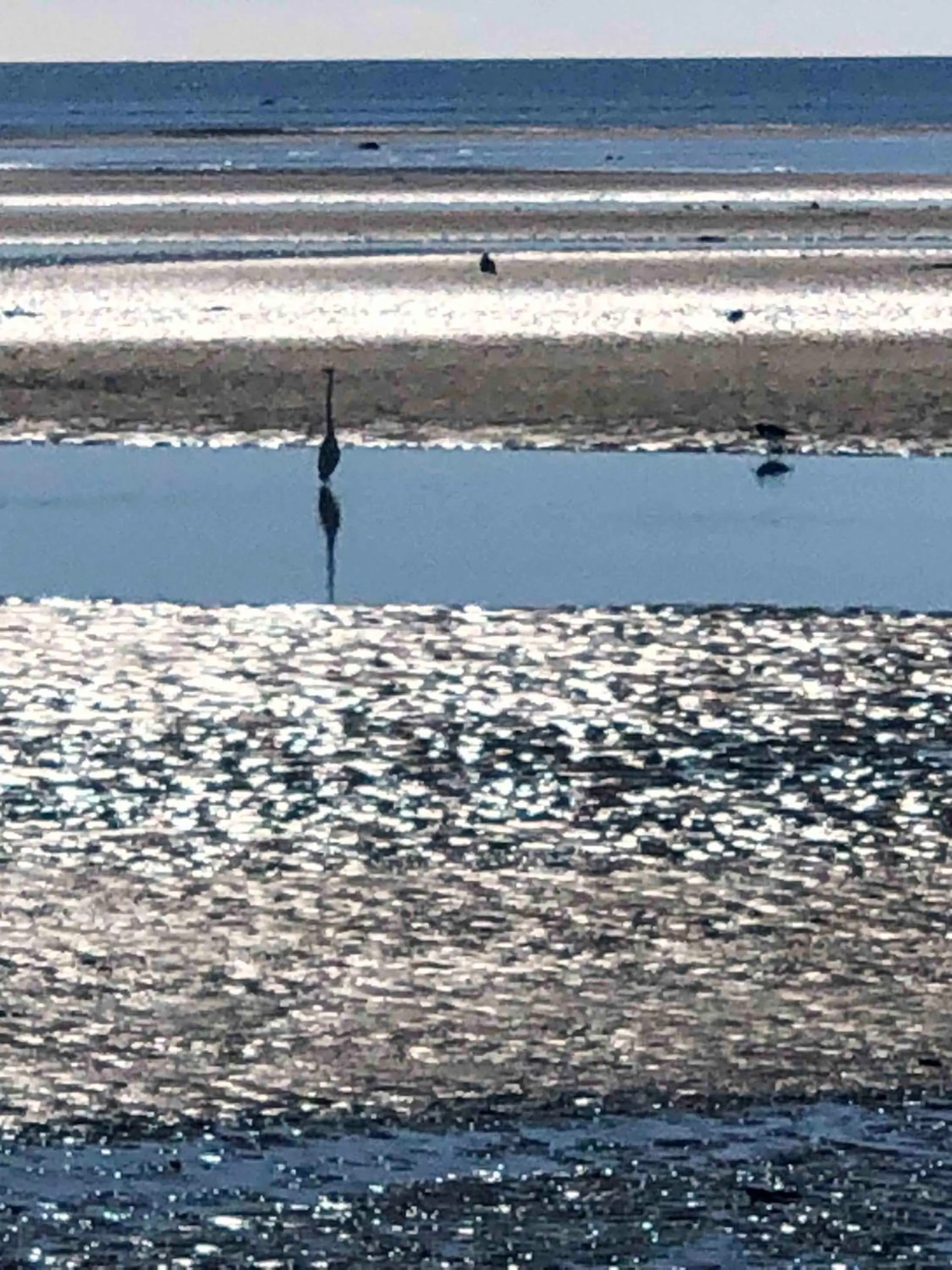 The Station House Motel