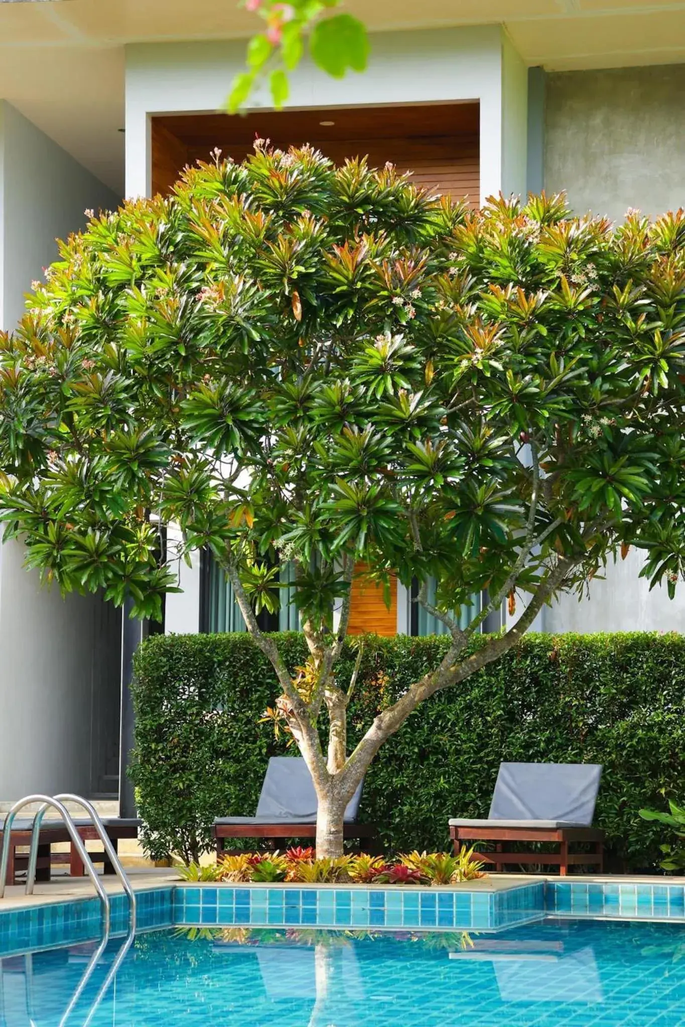 Double Room with Pool View in Evergreen Koh Chang Resort Double Room with Pool View in Evergreen Koh Chang Resort