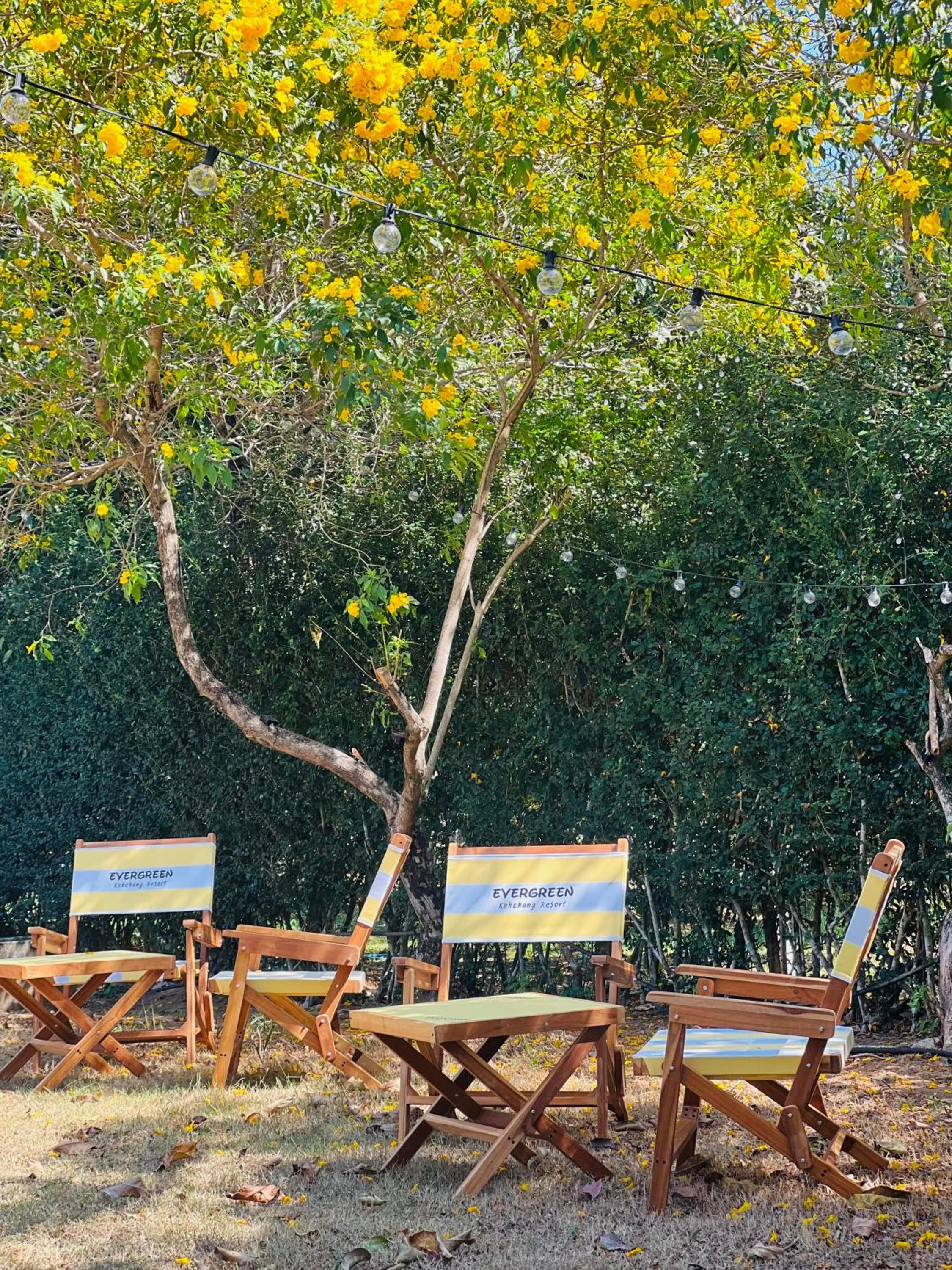 Area and facilities in Evergreen Koh Chang Resort