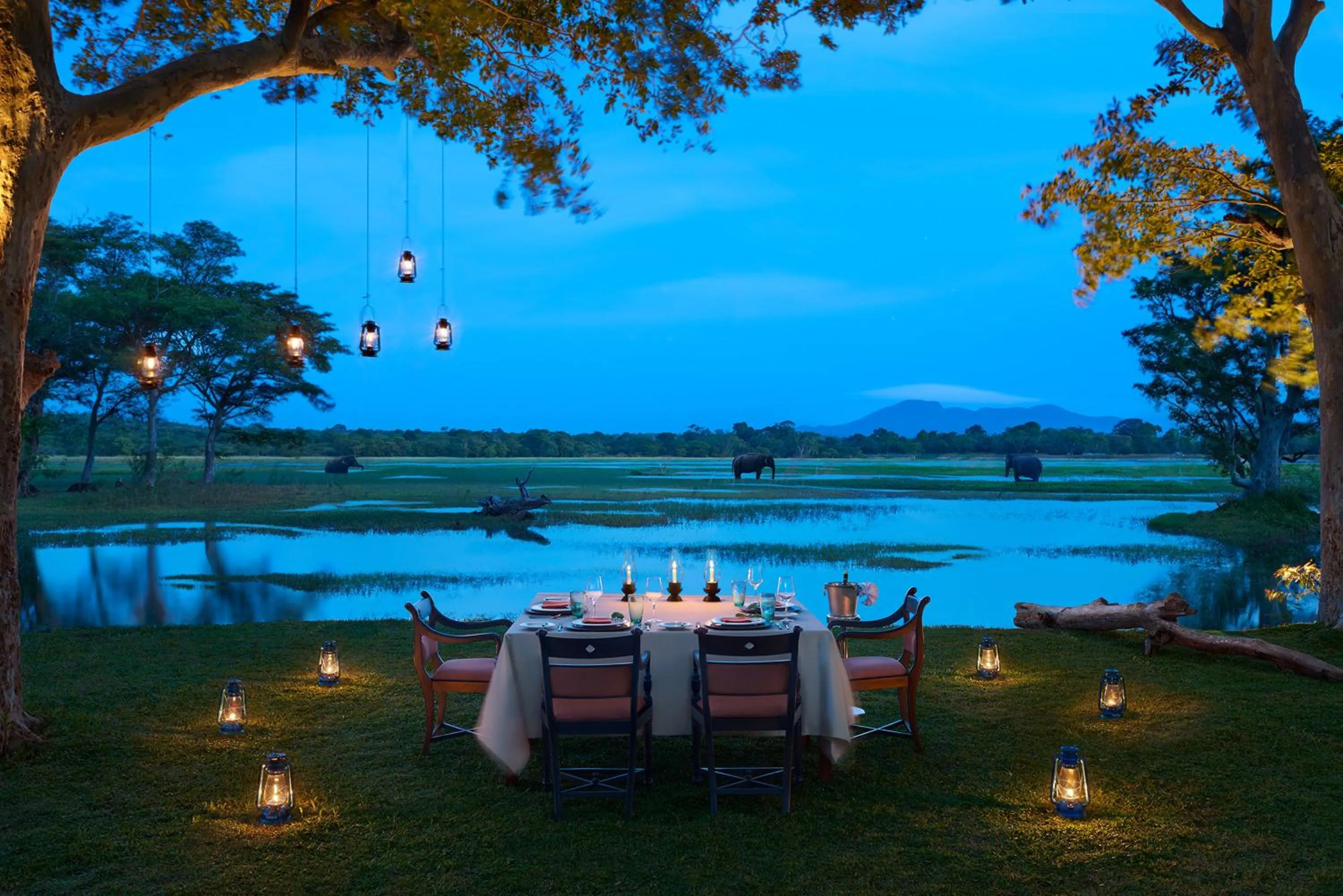 Restaurant/places to eat in Cinnamon Lodge Habarana