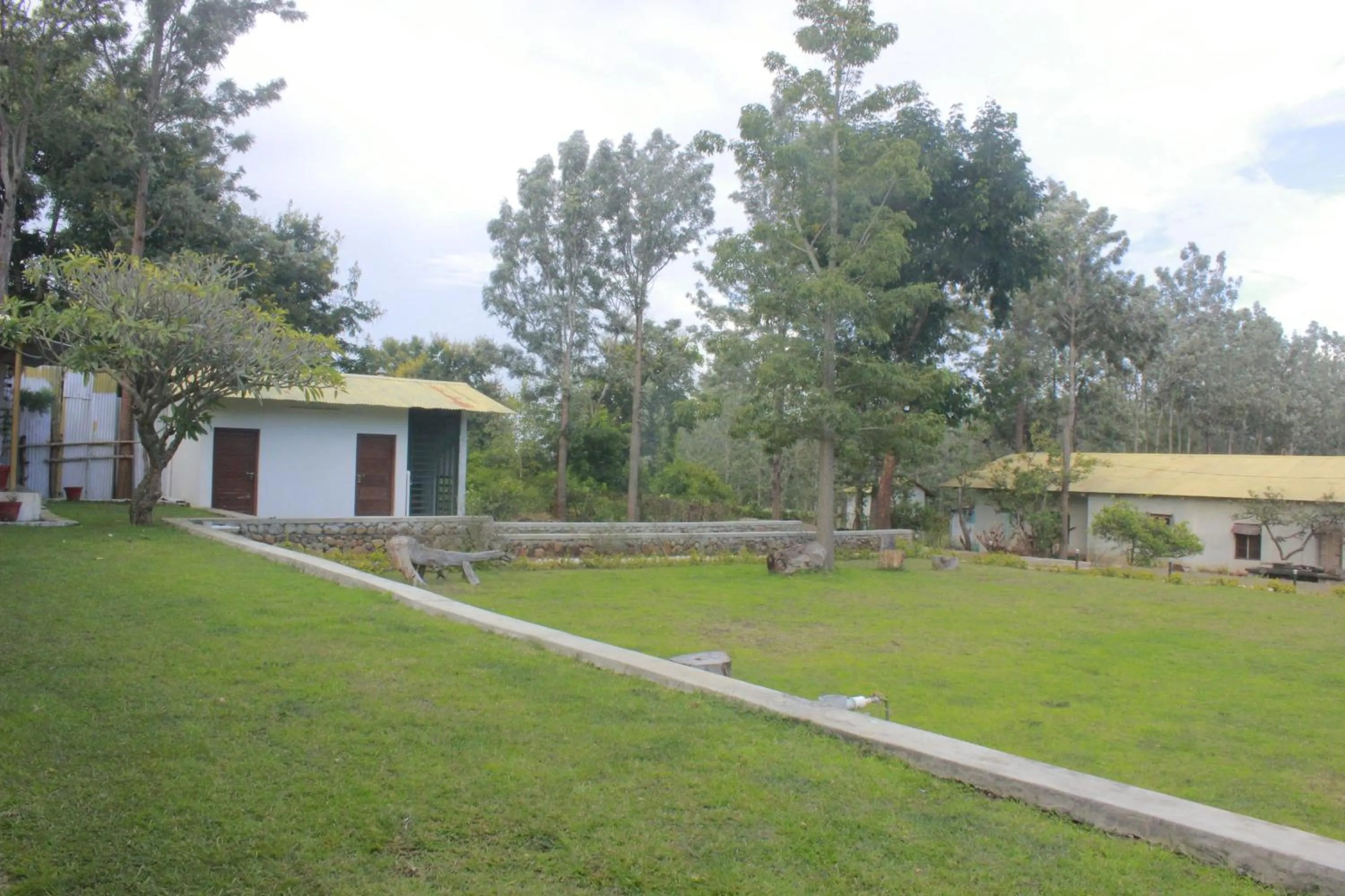 Garden in Singaras Coffee Country