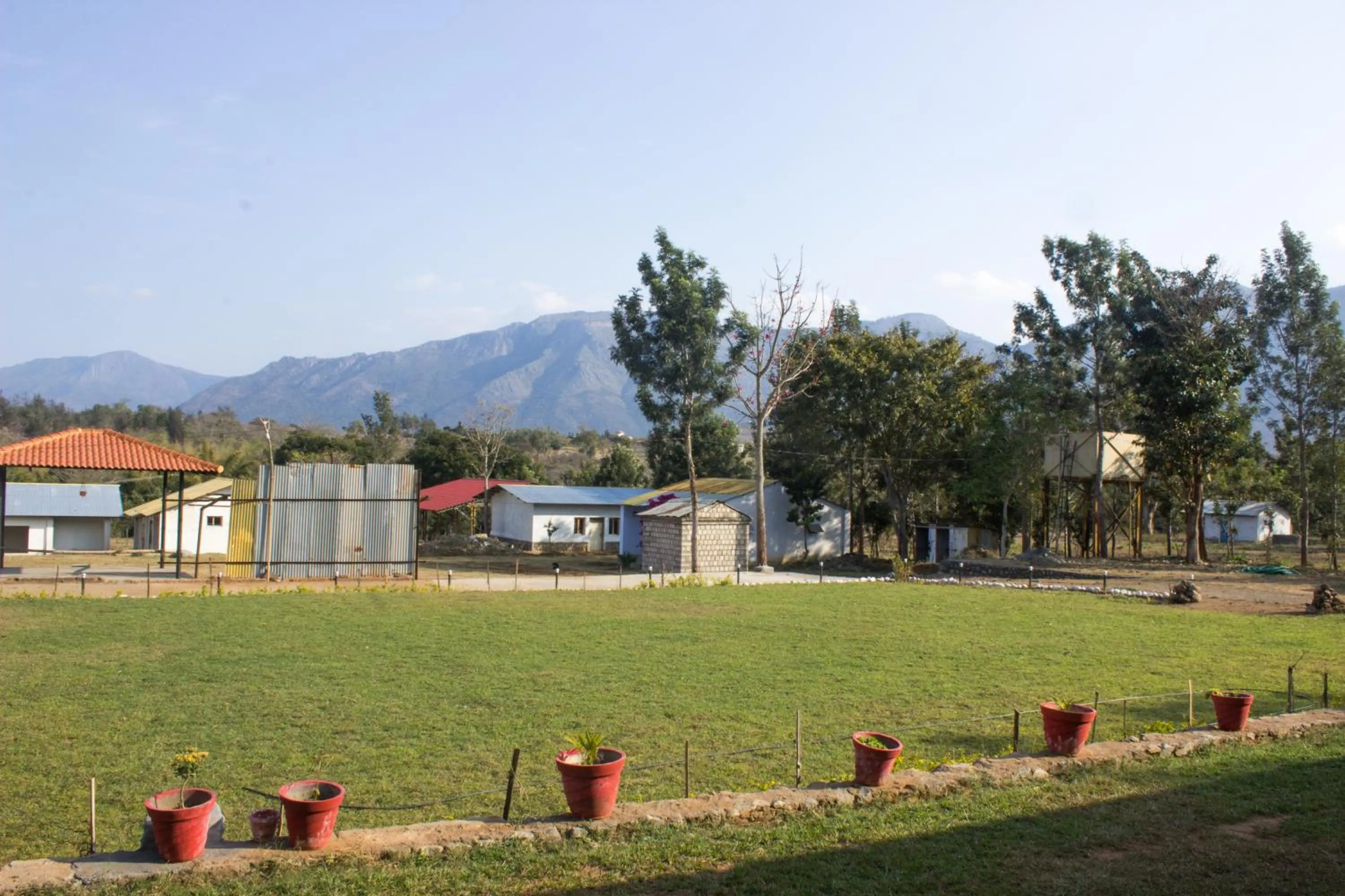 Garden in Singaras Coffee Country