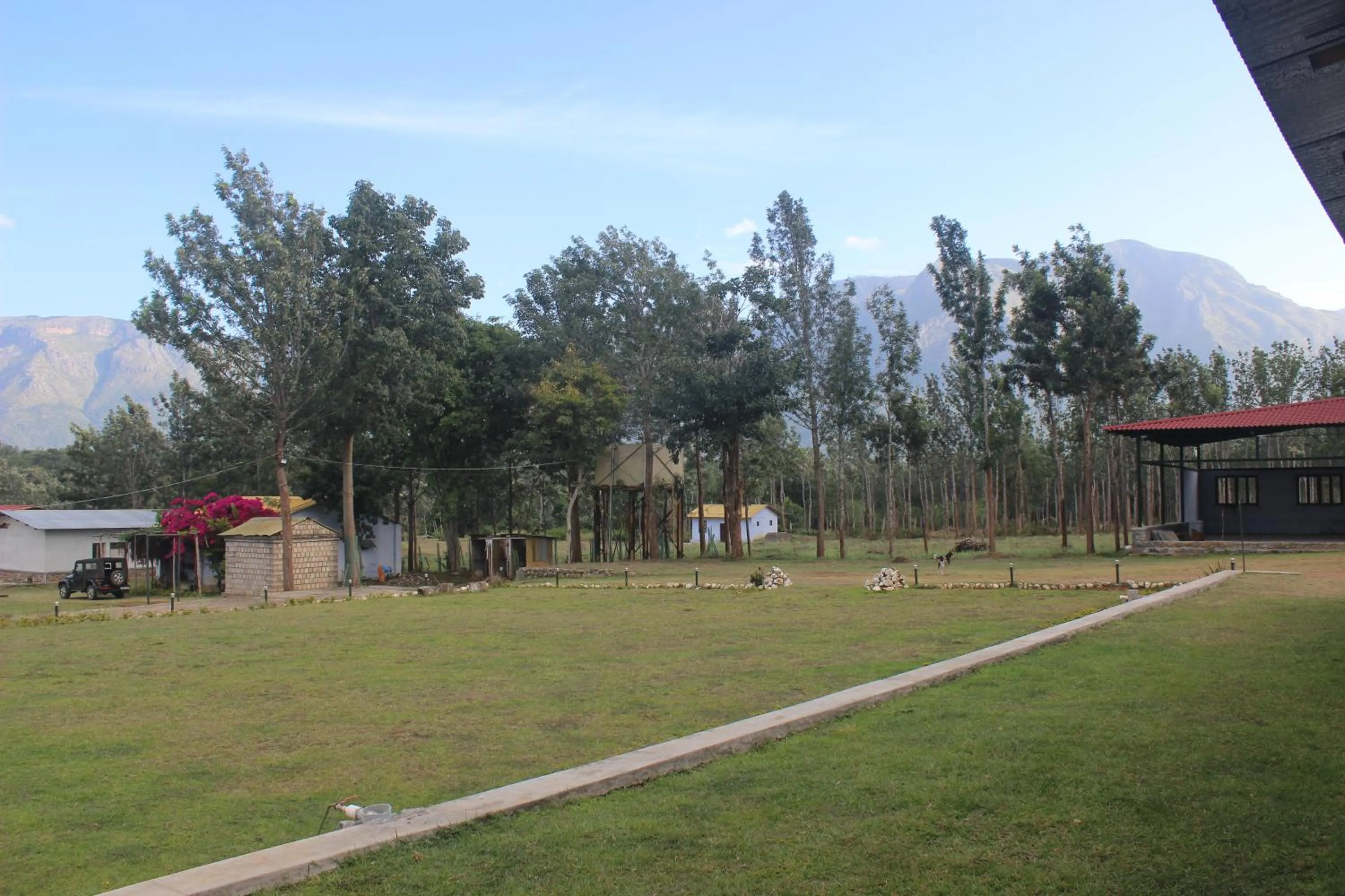 View (from property/room) in Singaras Coffee Country