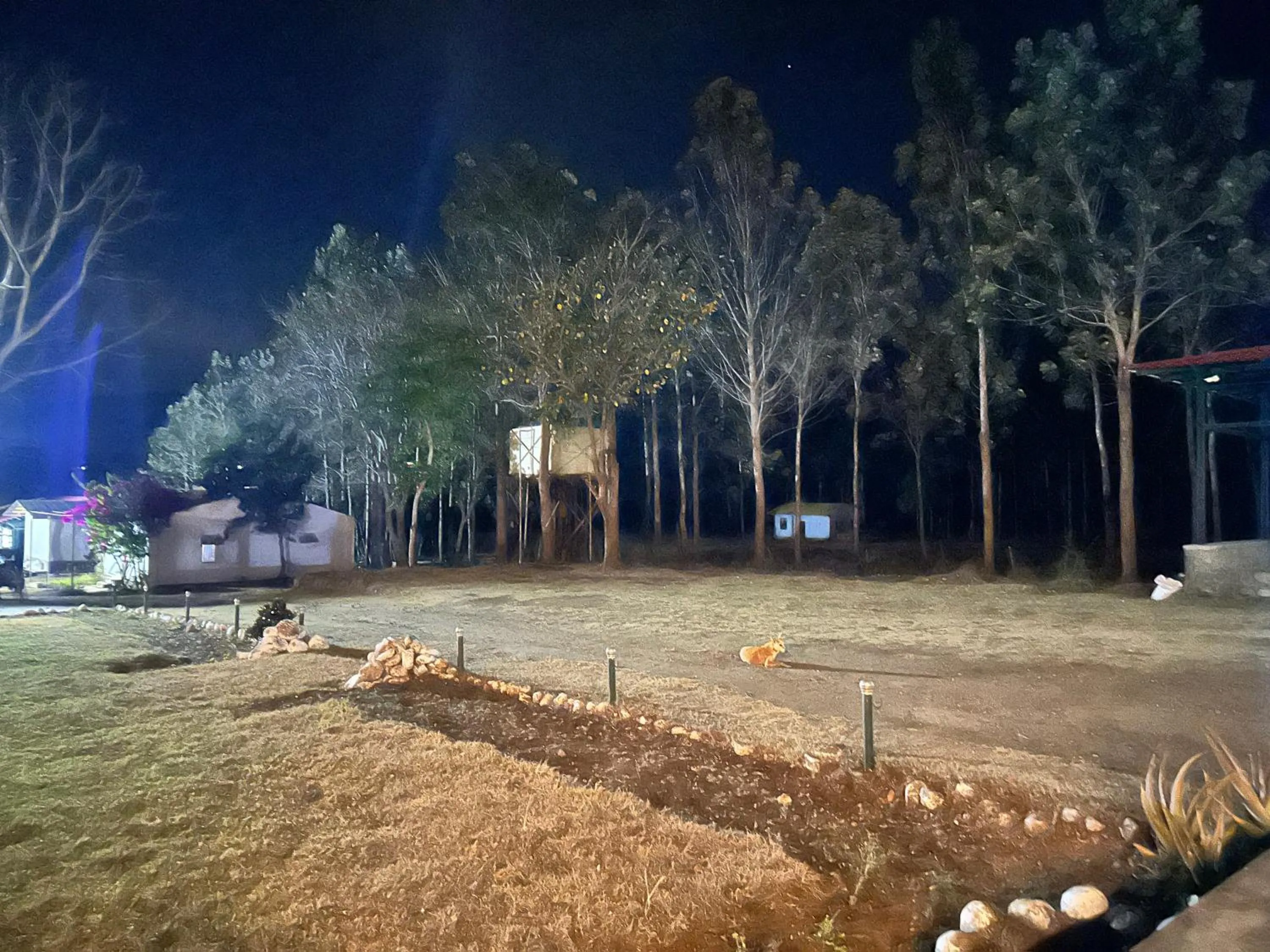 Night in Singaras Coffee Country