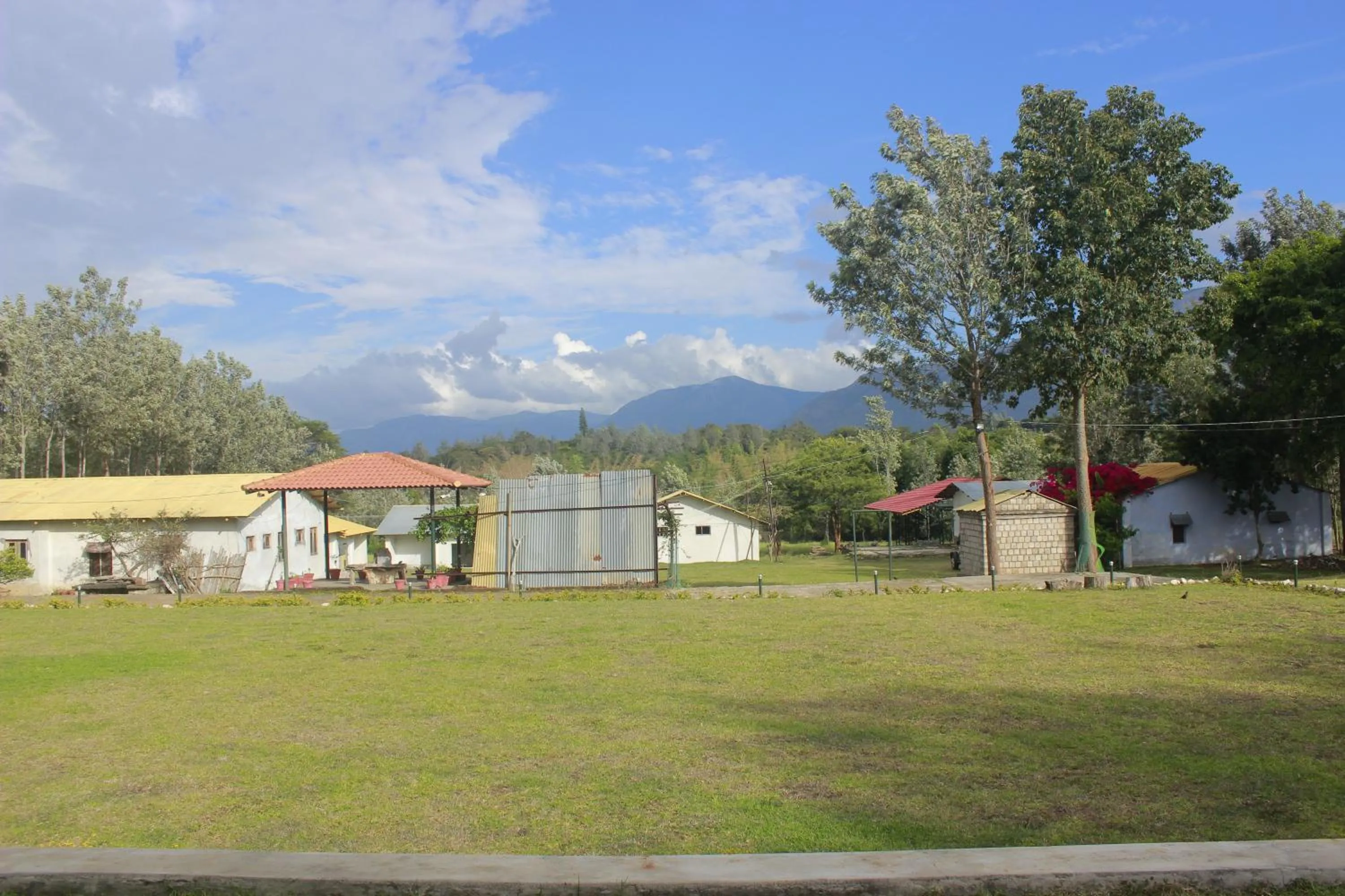 View (from property/room) in Singaras Coffee Country