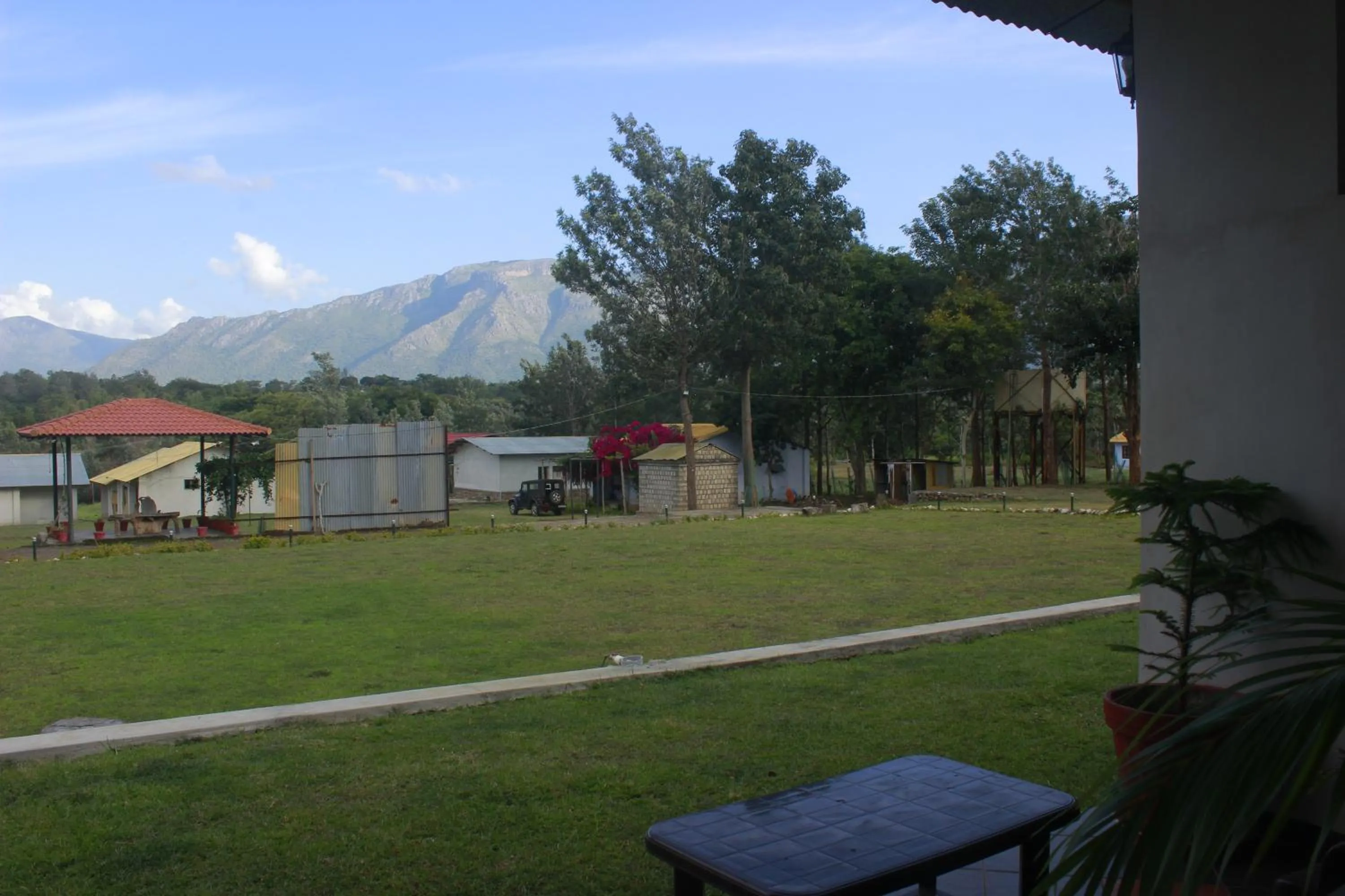 Garden in Singaras Coffee Country