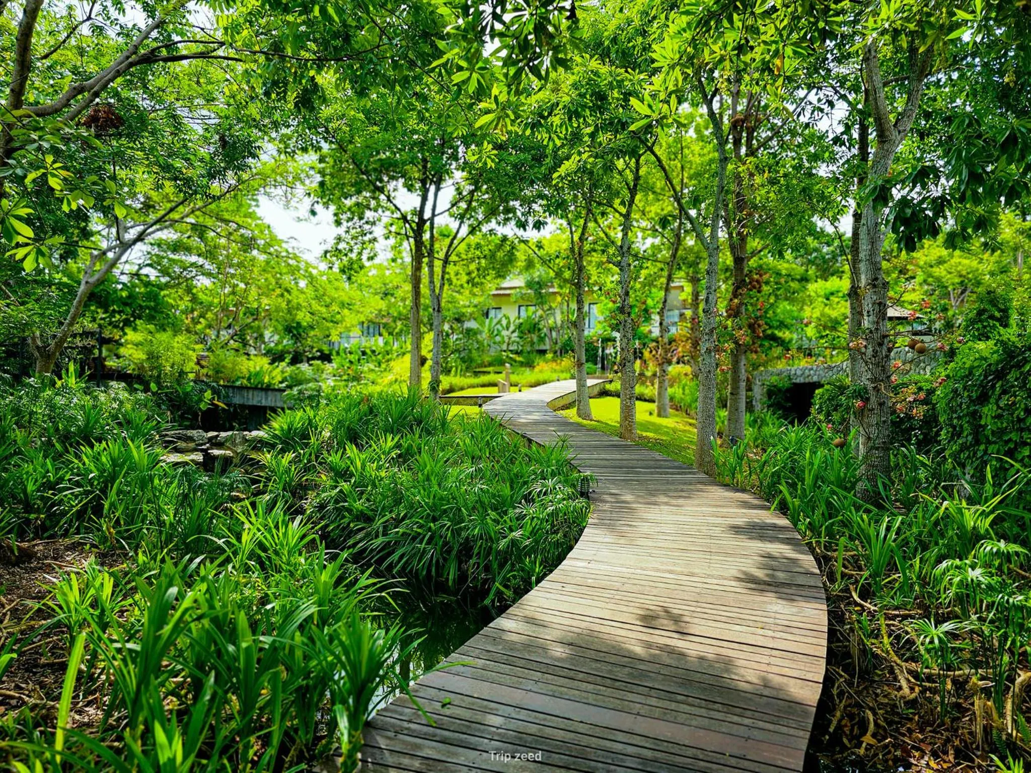 Garden view in Vivace Khaoyai