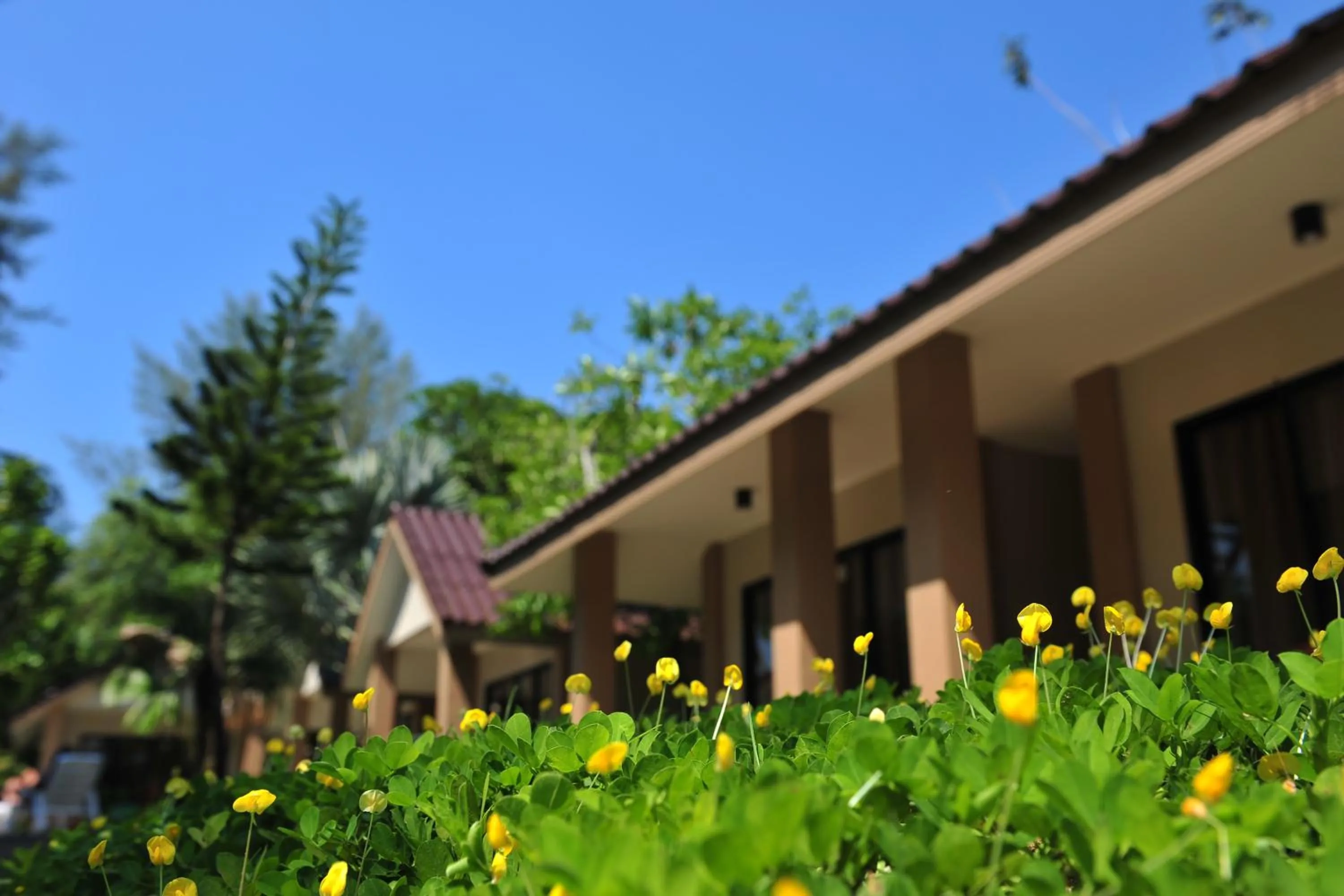 Light Khao Lak Resort