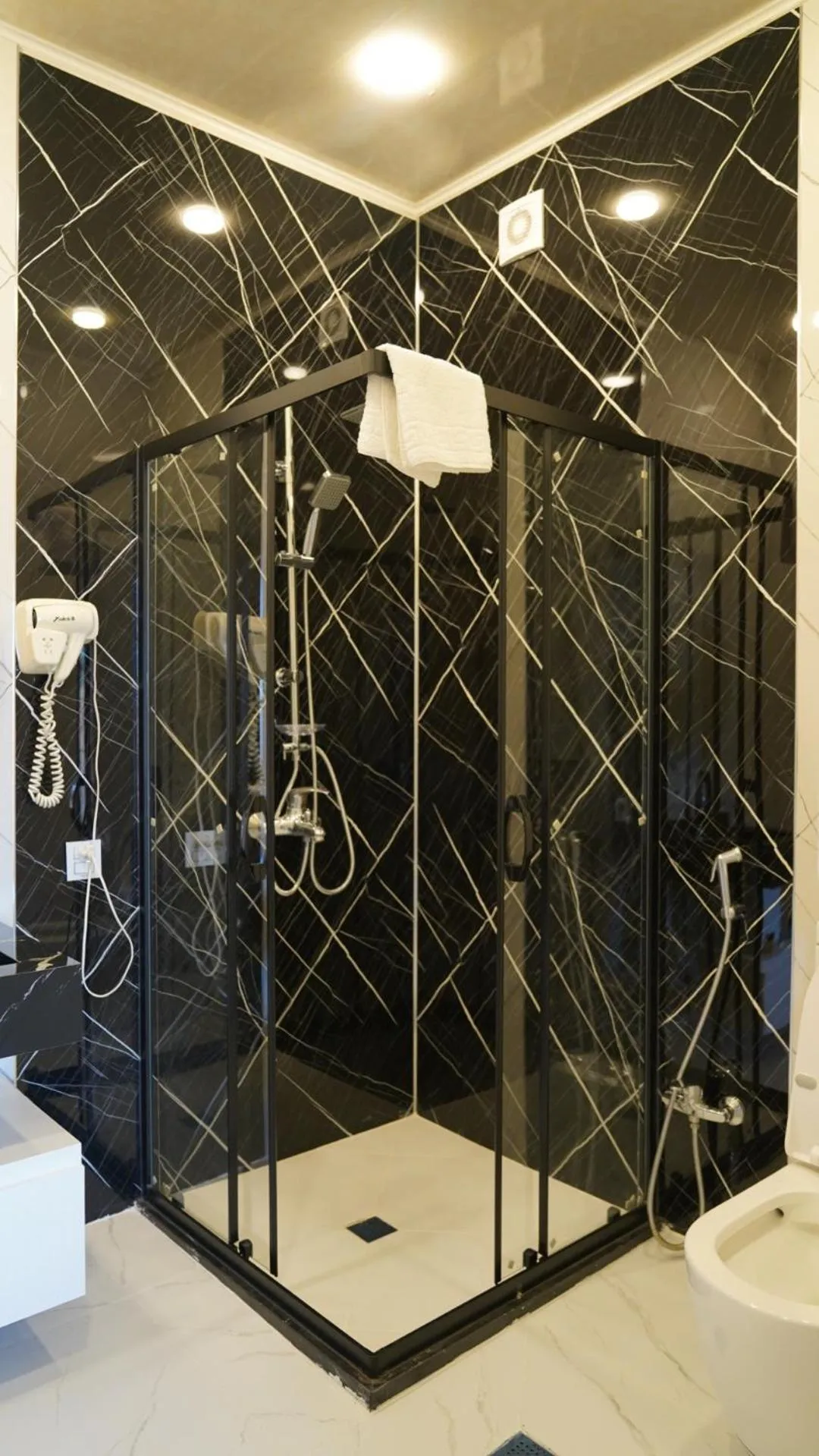 Shower in Premier Hotel