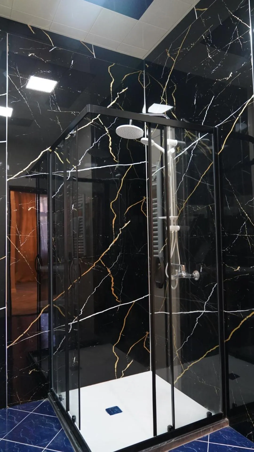 Shower in Premier Hotel