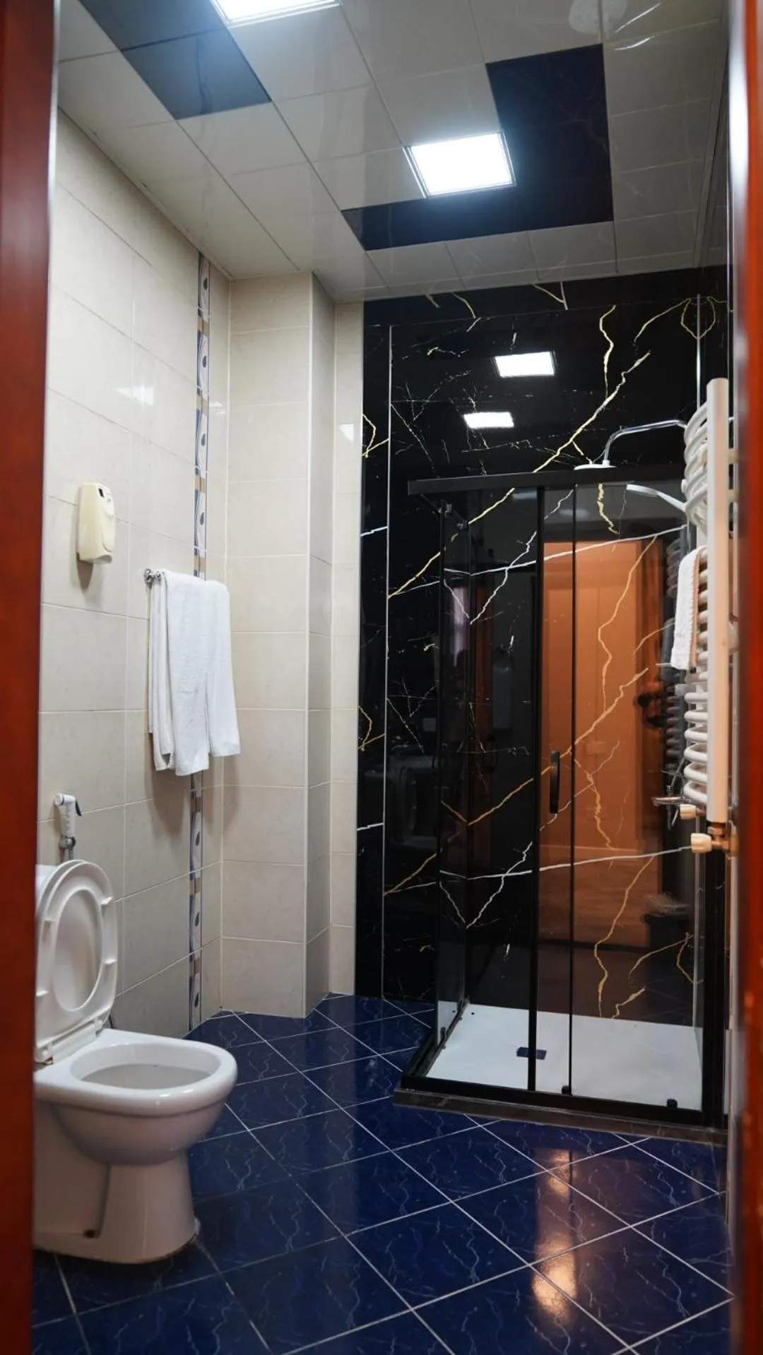 Shower in Premier Hotel