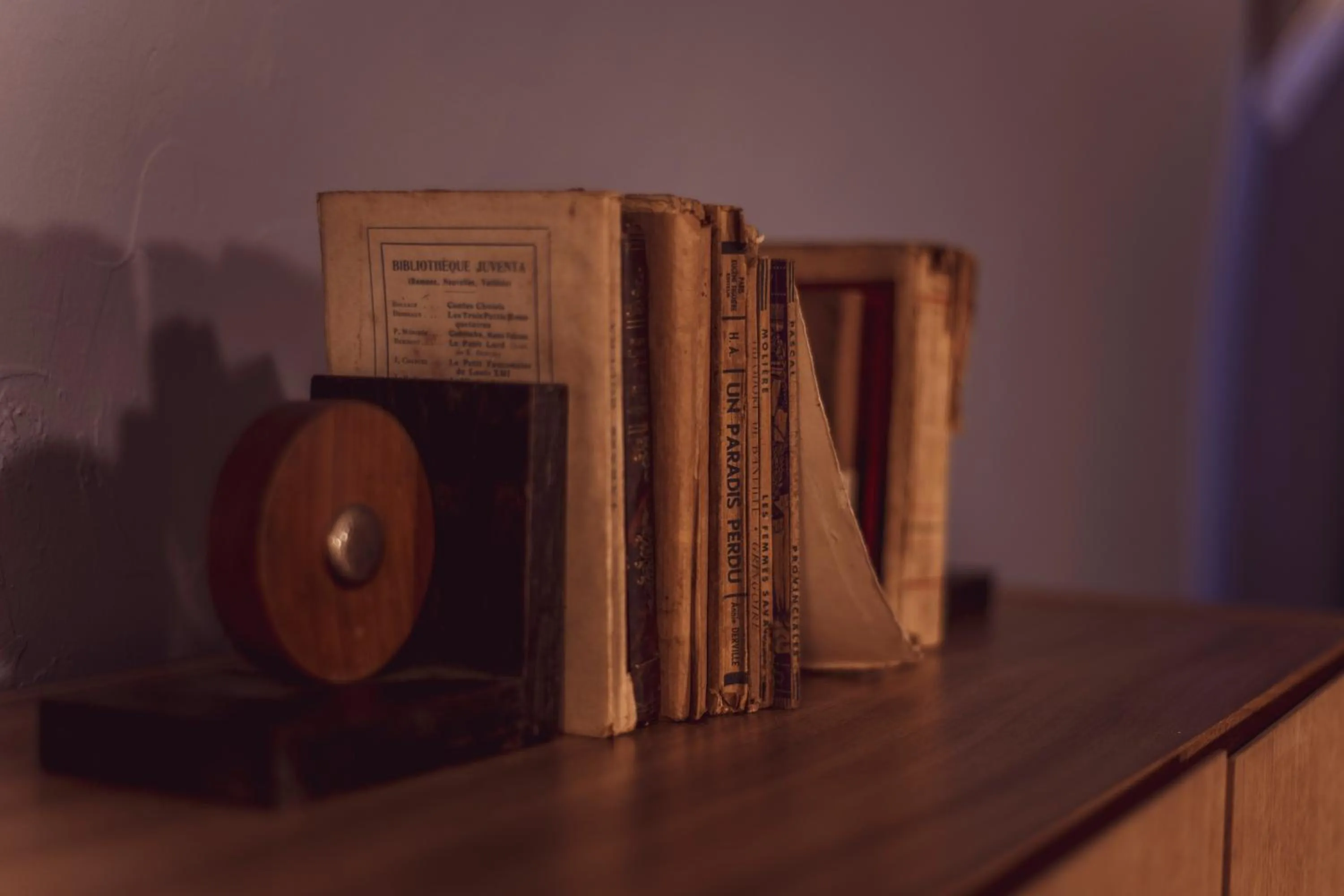 Library in Naâd Hotel Sarlat Centre Ville