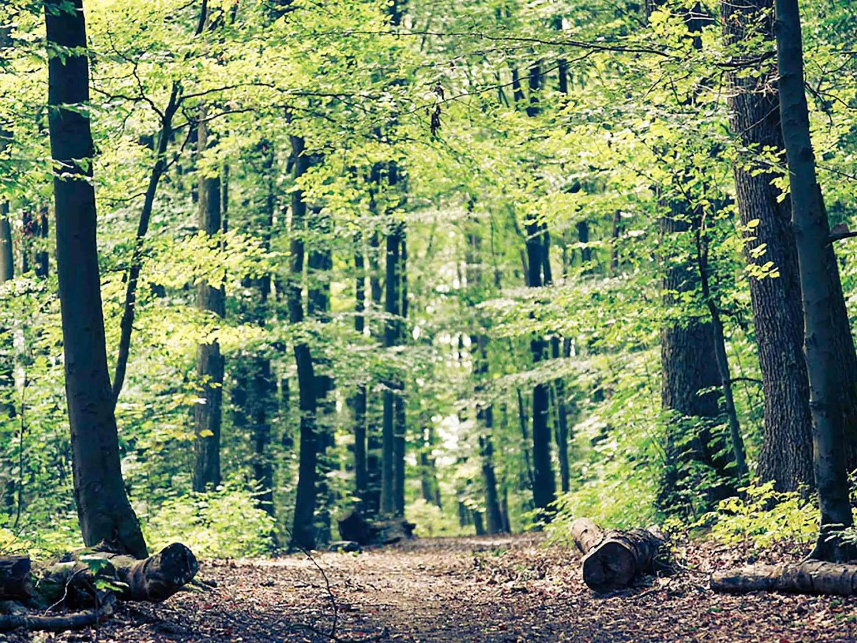 Other in ibis Haguenau Strasbourg Nord