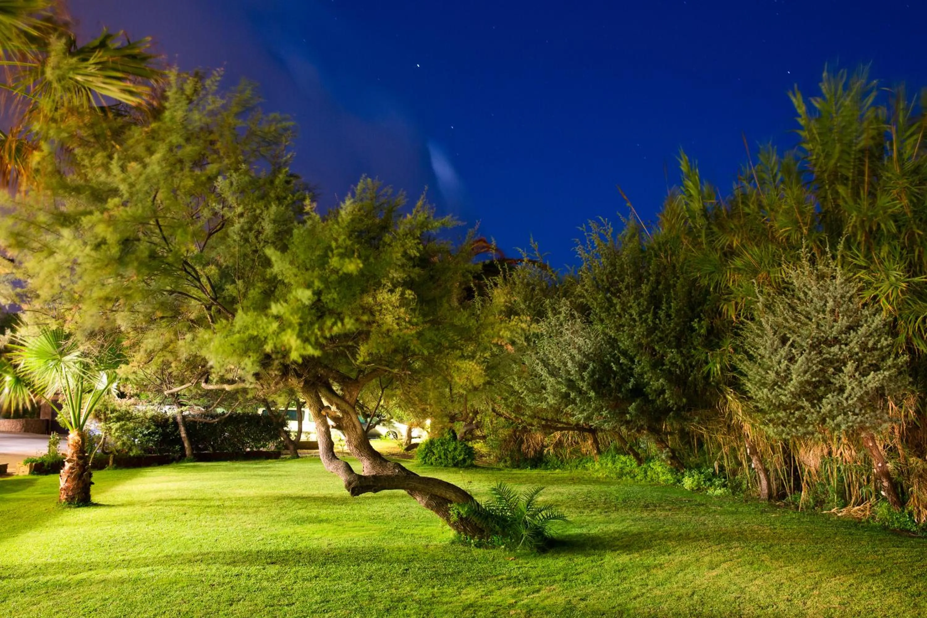 Garden in Club Hotel Residence Baiaverde
