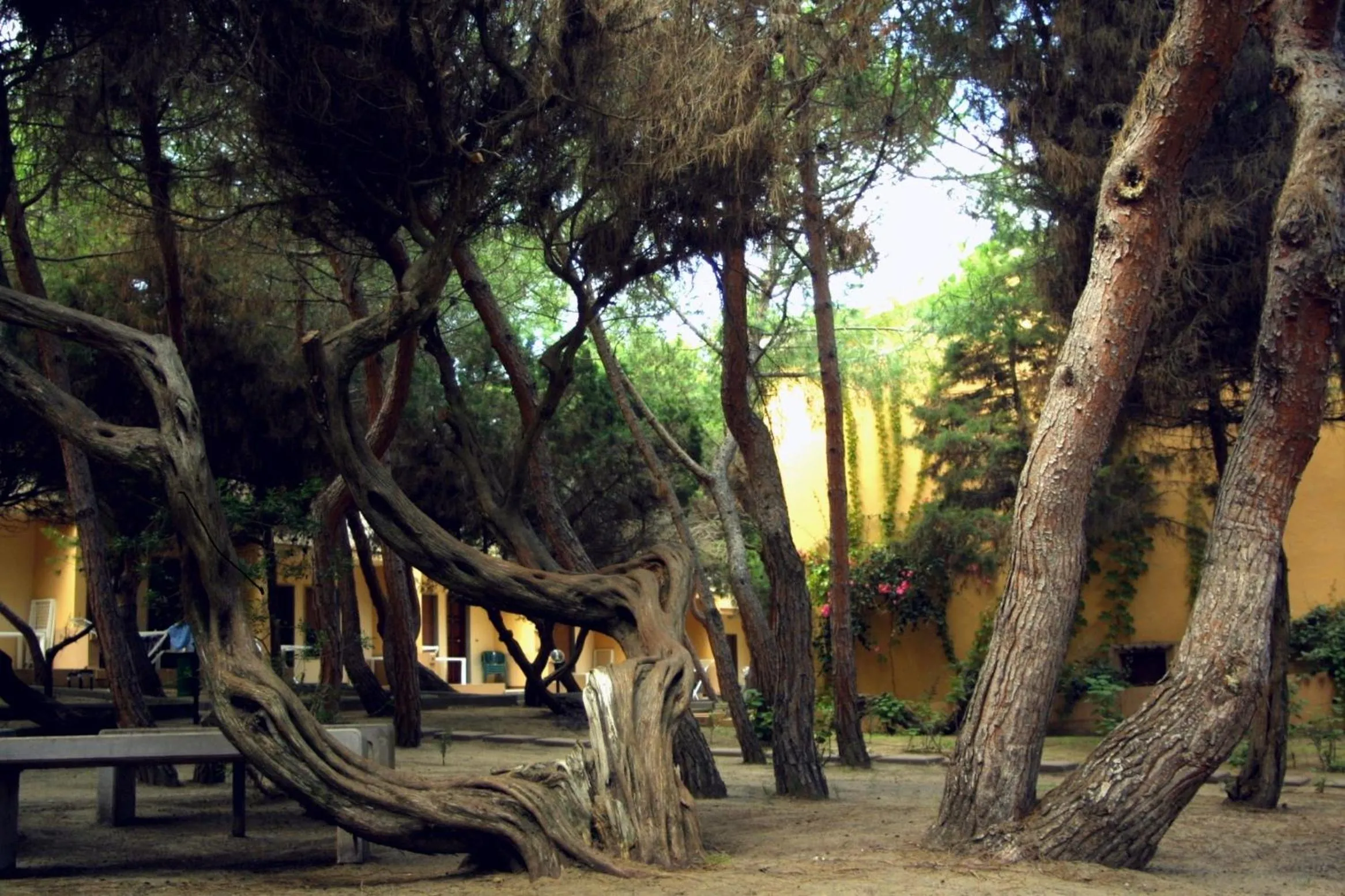 Garden in Club Hotel Residence Baiaverde