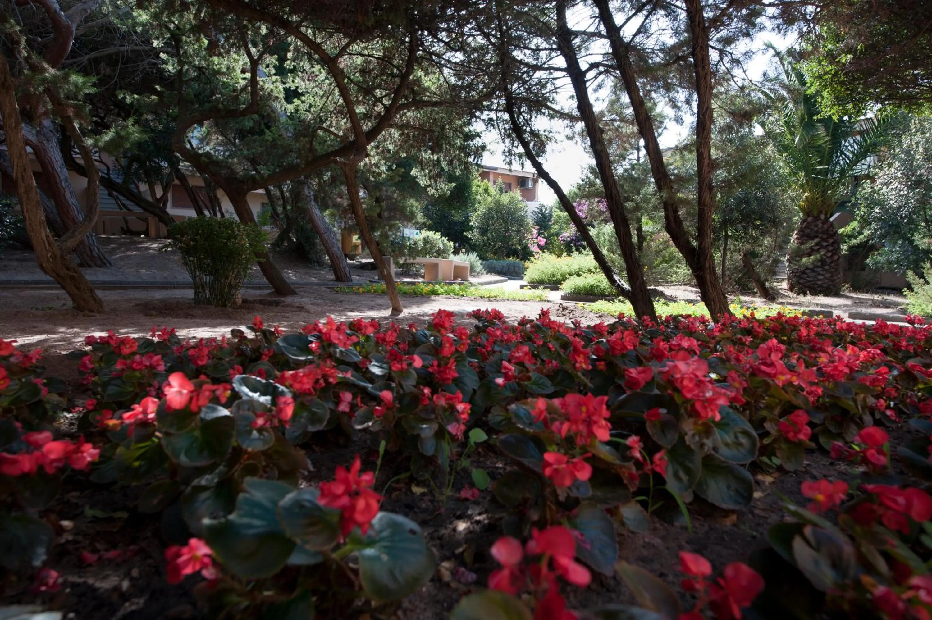 Garden in Club Hotel Residence Baiaverde