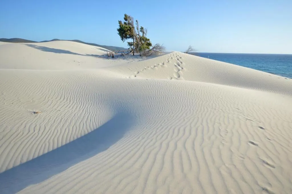 Nearby landmark in Eco Village Baia Delle Ginestre
