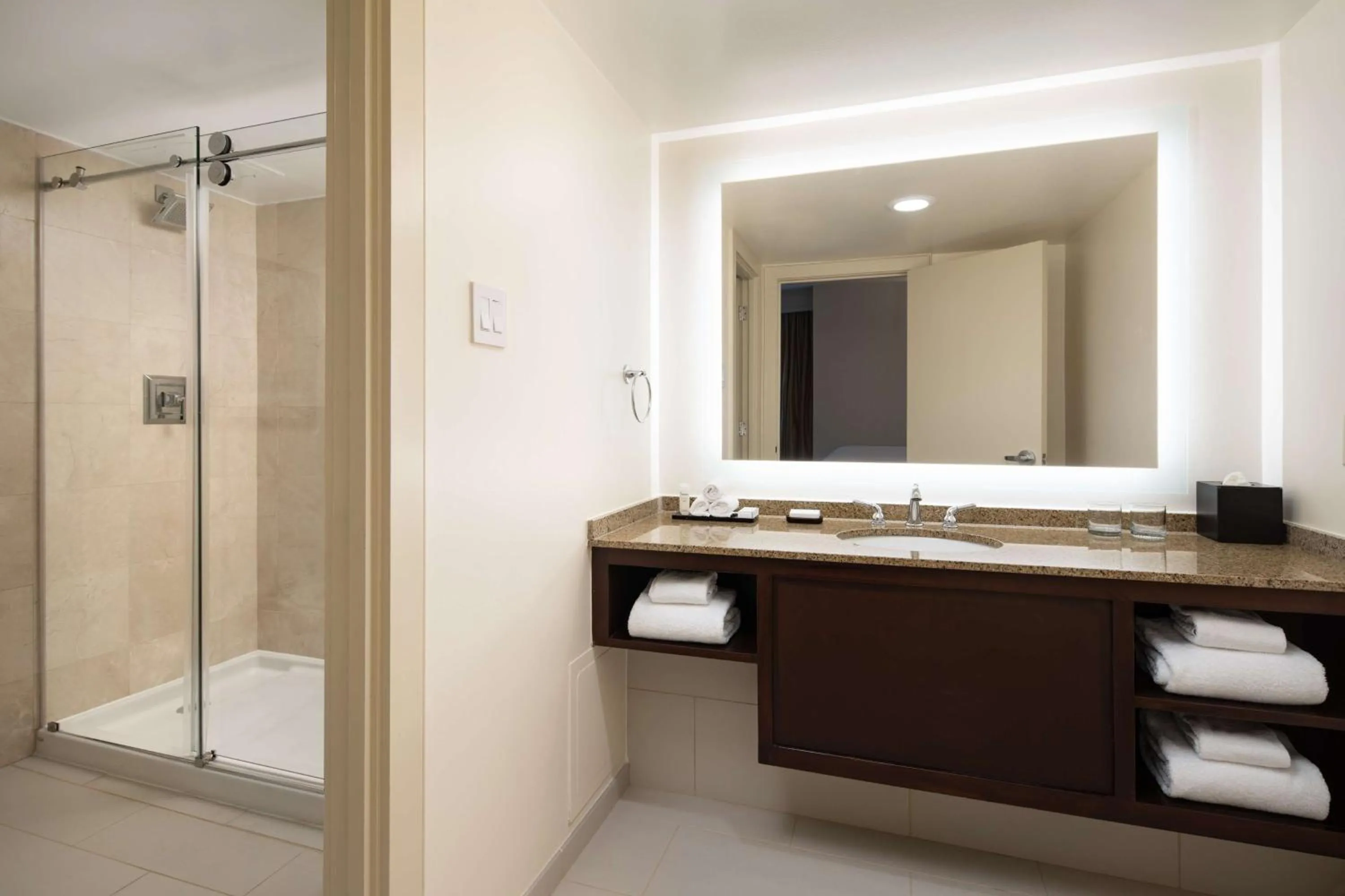 Bathroom in Embassy Suites by Hilton New Orleans Convention Center