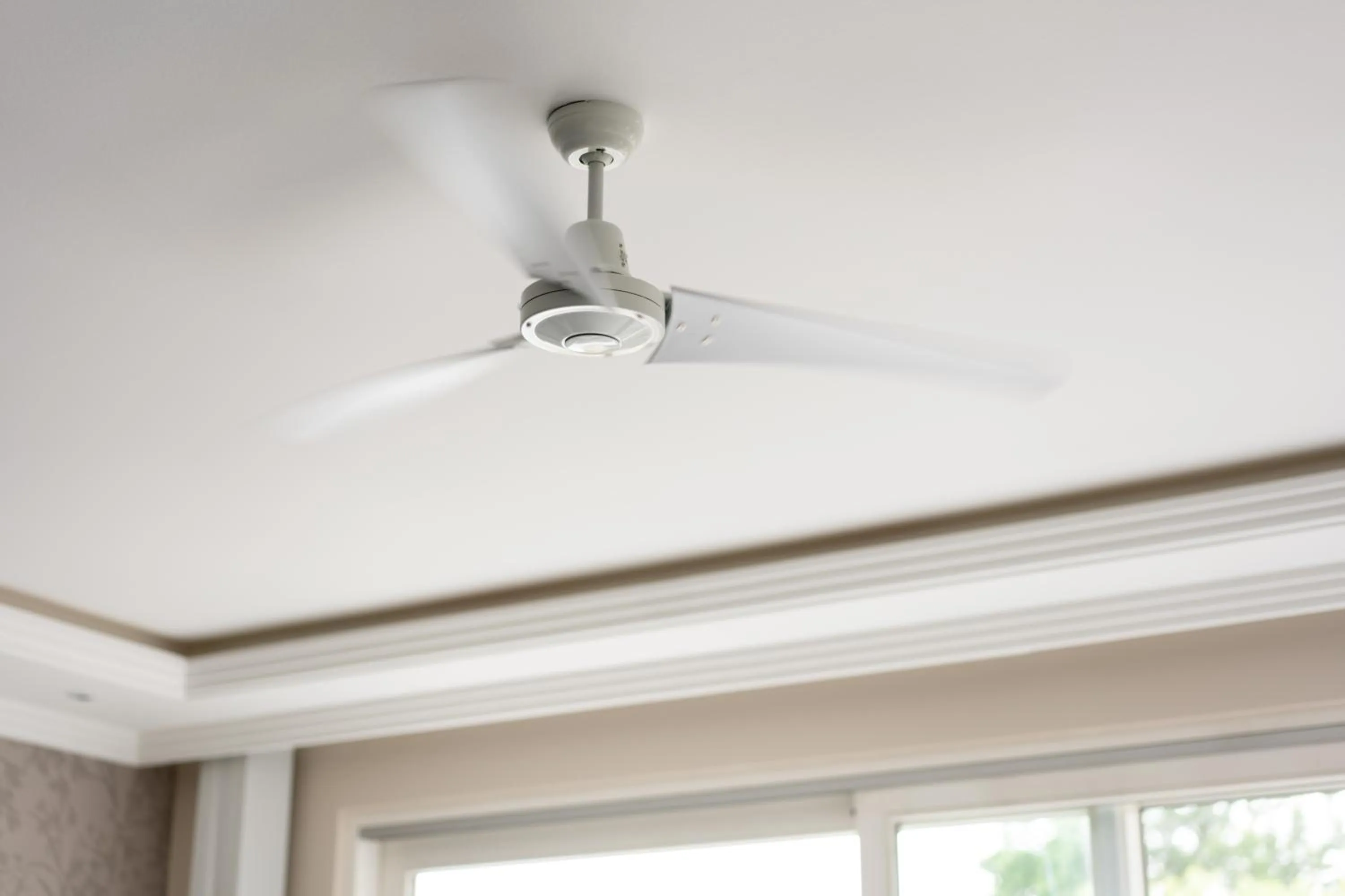 Other in Hotel Gran BelVeder & Ostsee Therme Resort & Spa