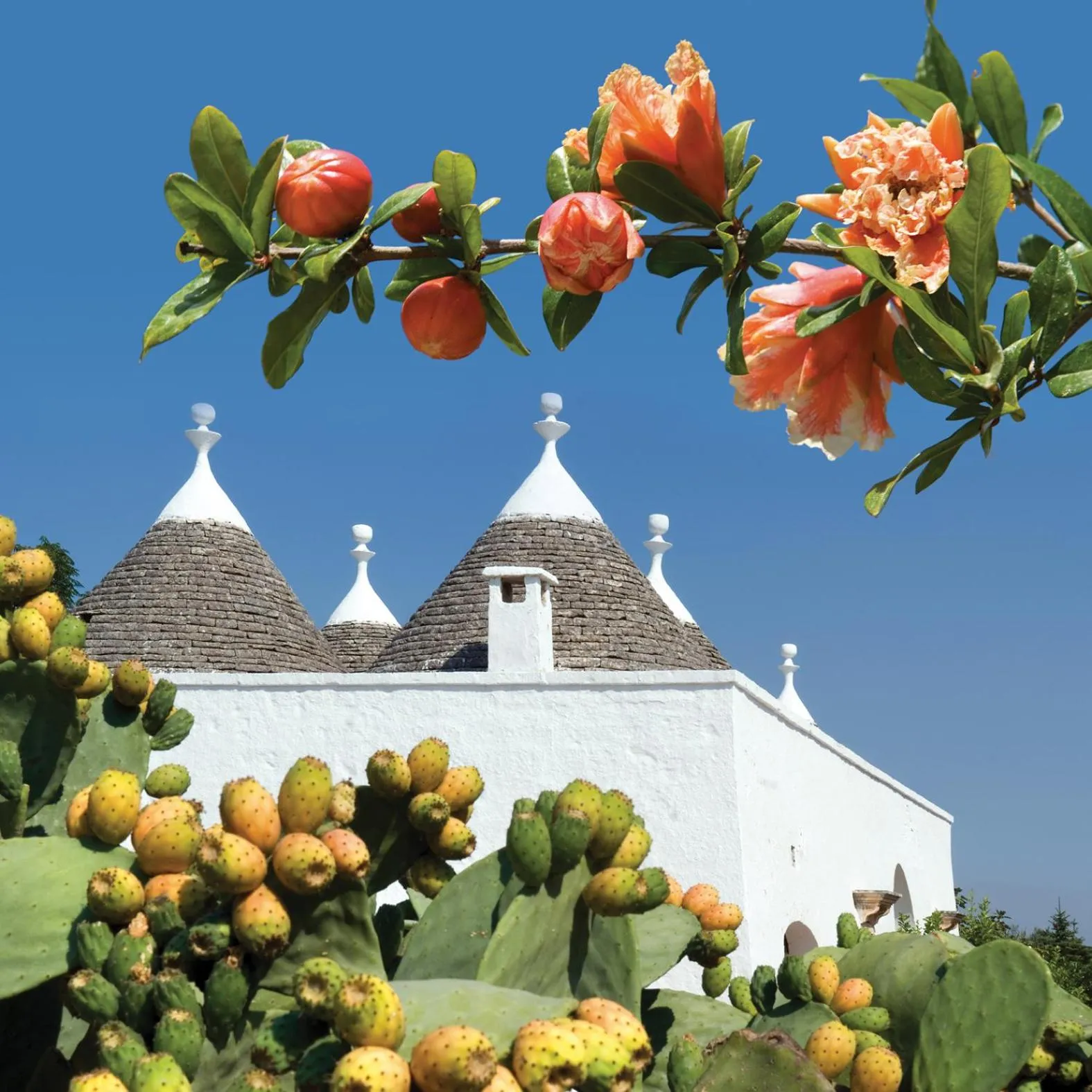 Day in Hotel Don Ferrante