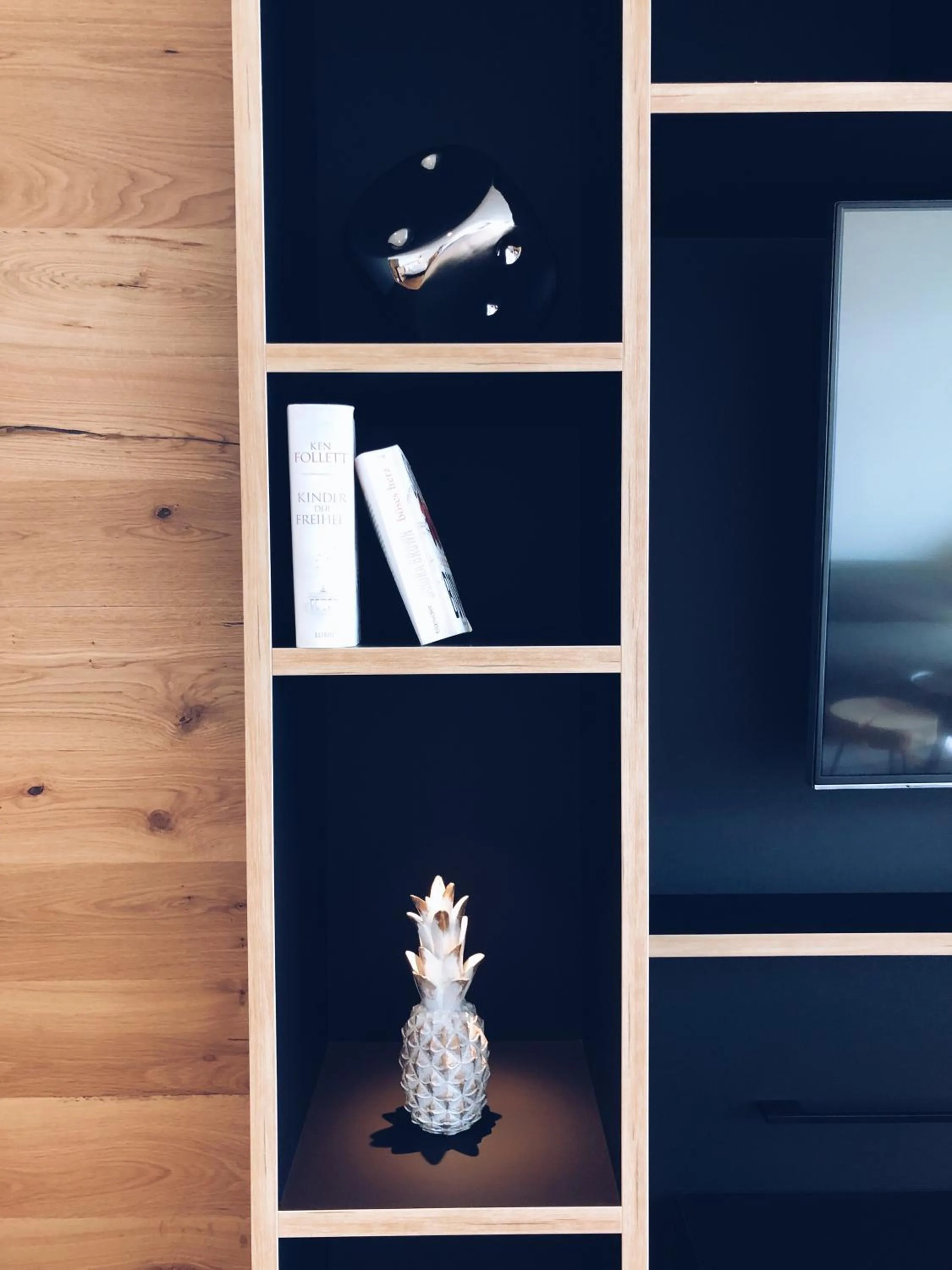 TV and multimedia in Fritz Lauterbad