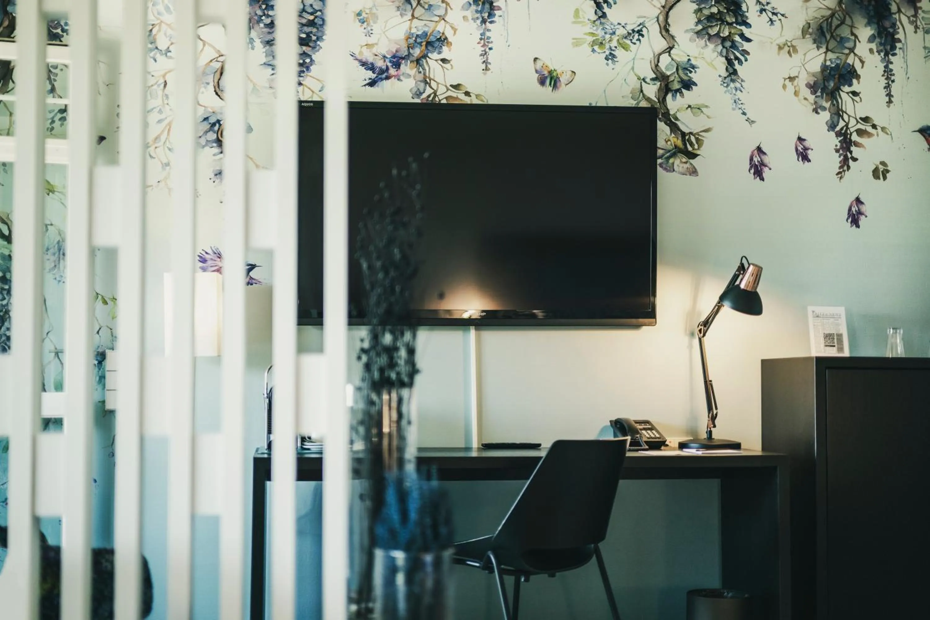 TV and multimedia in Fritz Lauterbad