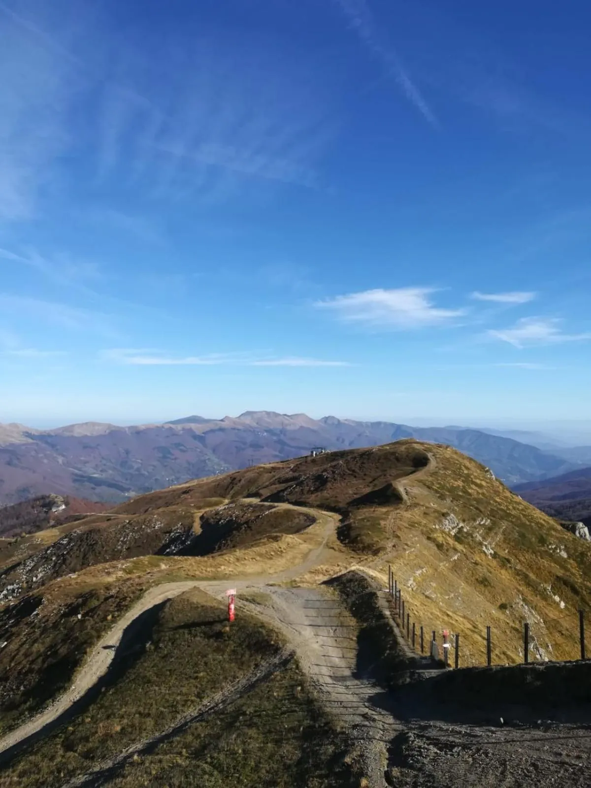 Natural landscape in Hotel Bristol