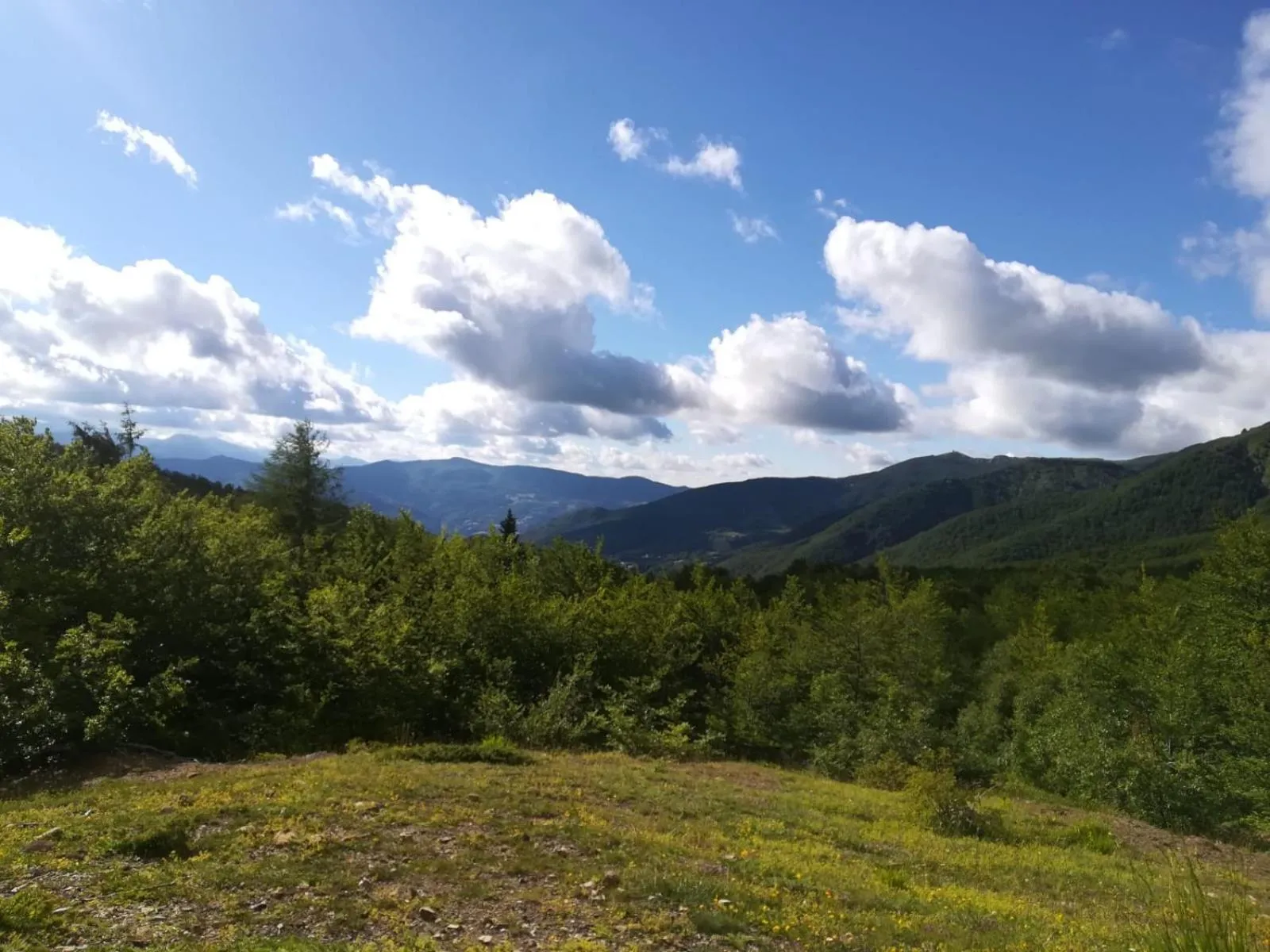 Natural landscape in Hotel Bristol