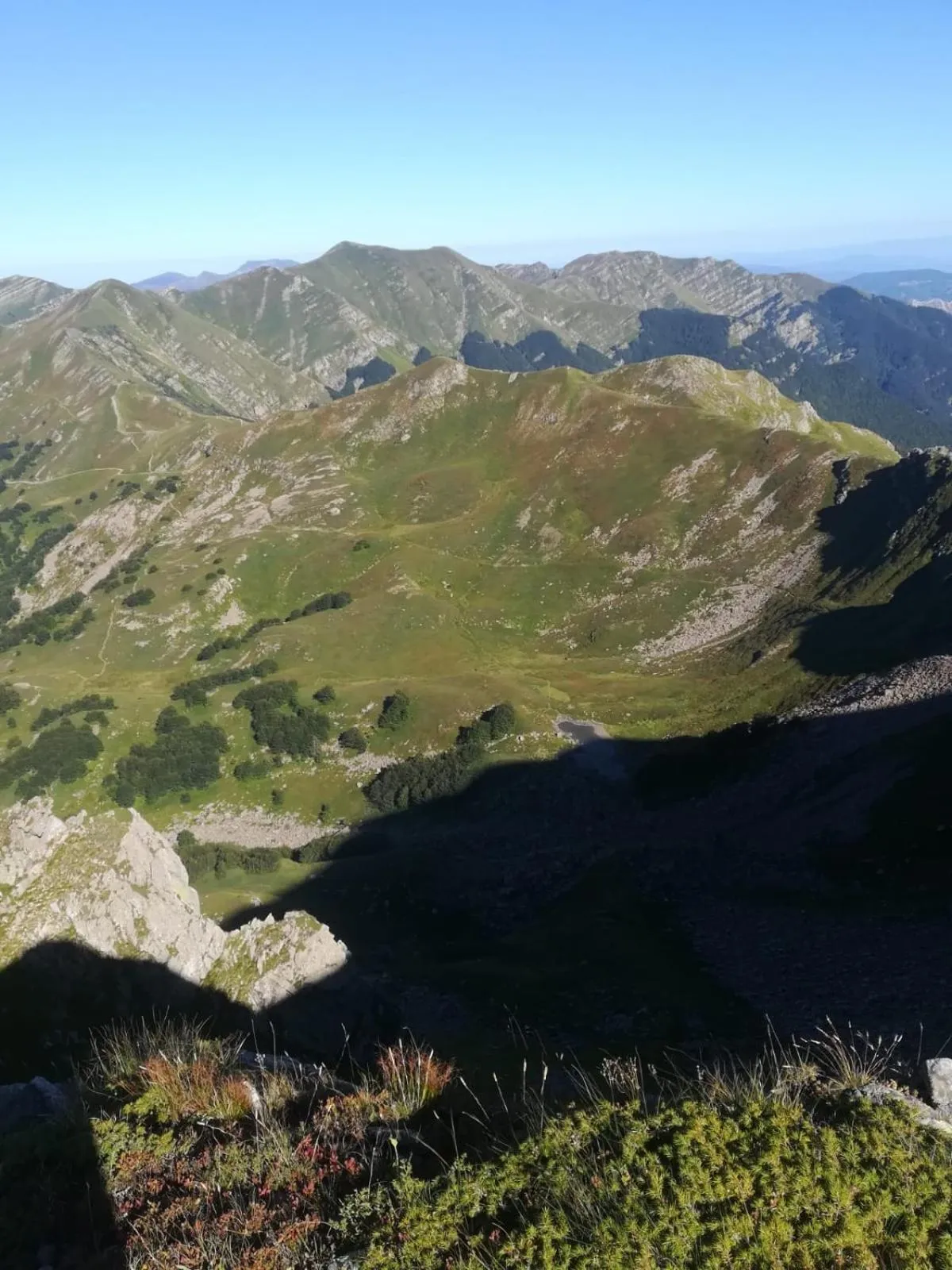 Natural landscape in Hotel Bristol