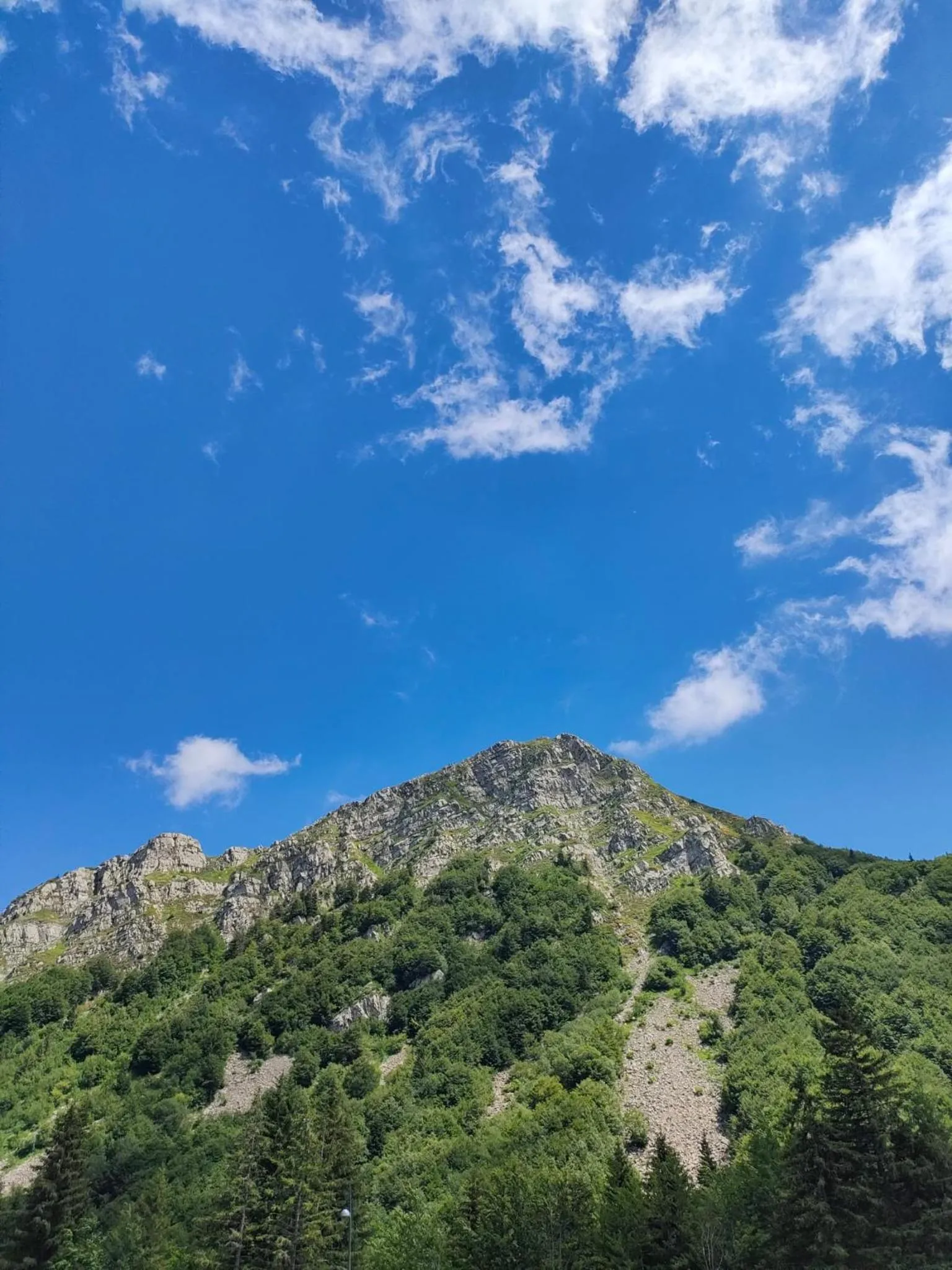 Natural landscape in Hotel Bristol