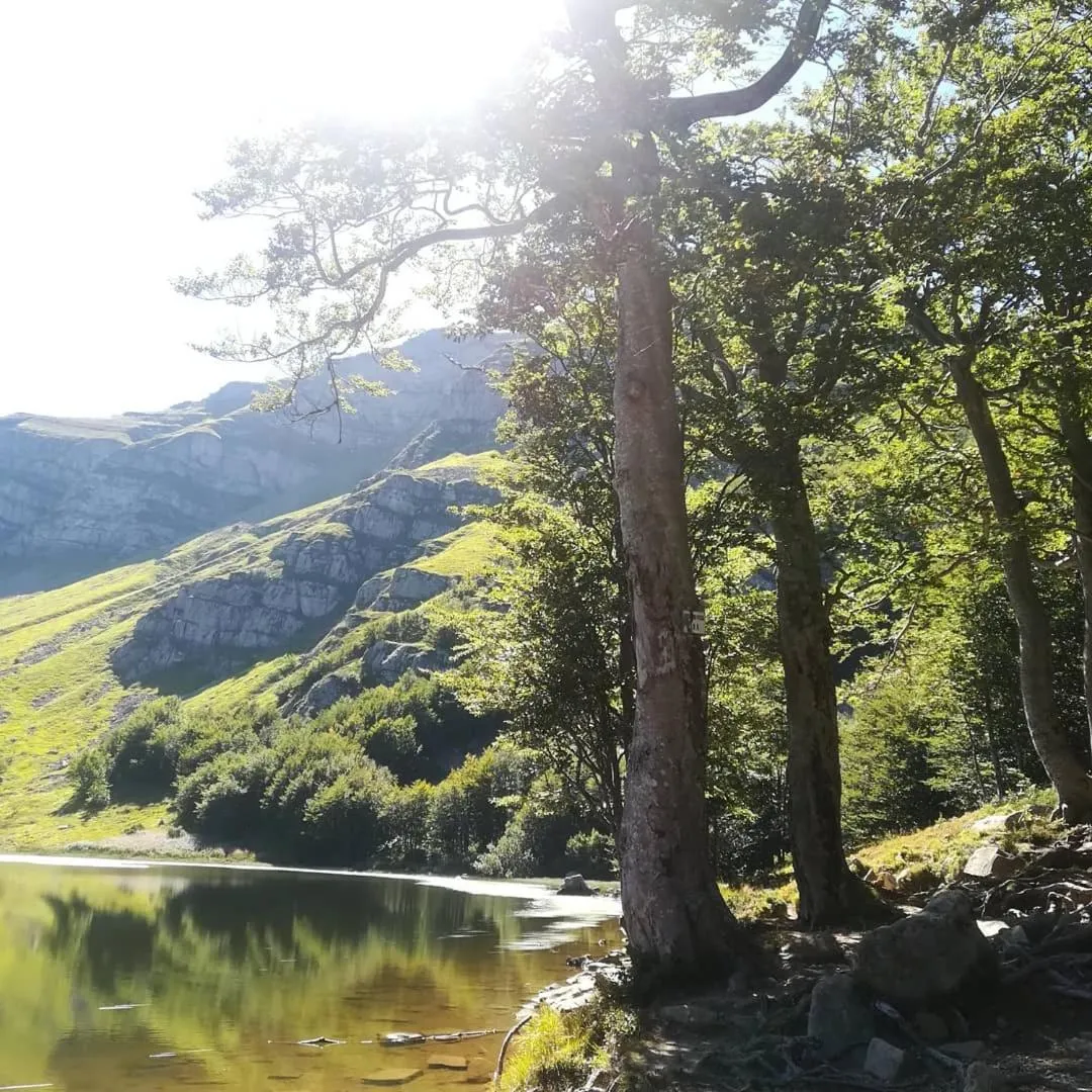 Natural landscape in Hotel Bristol