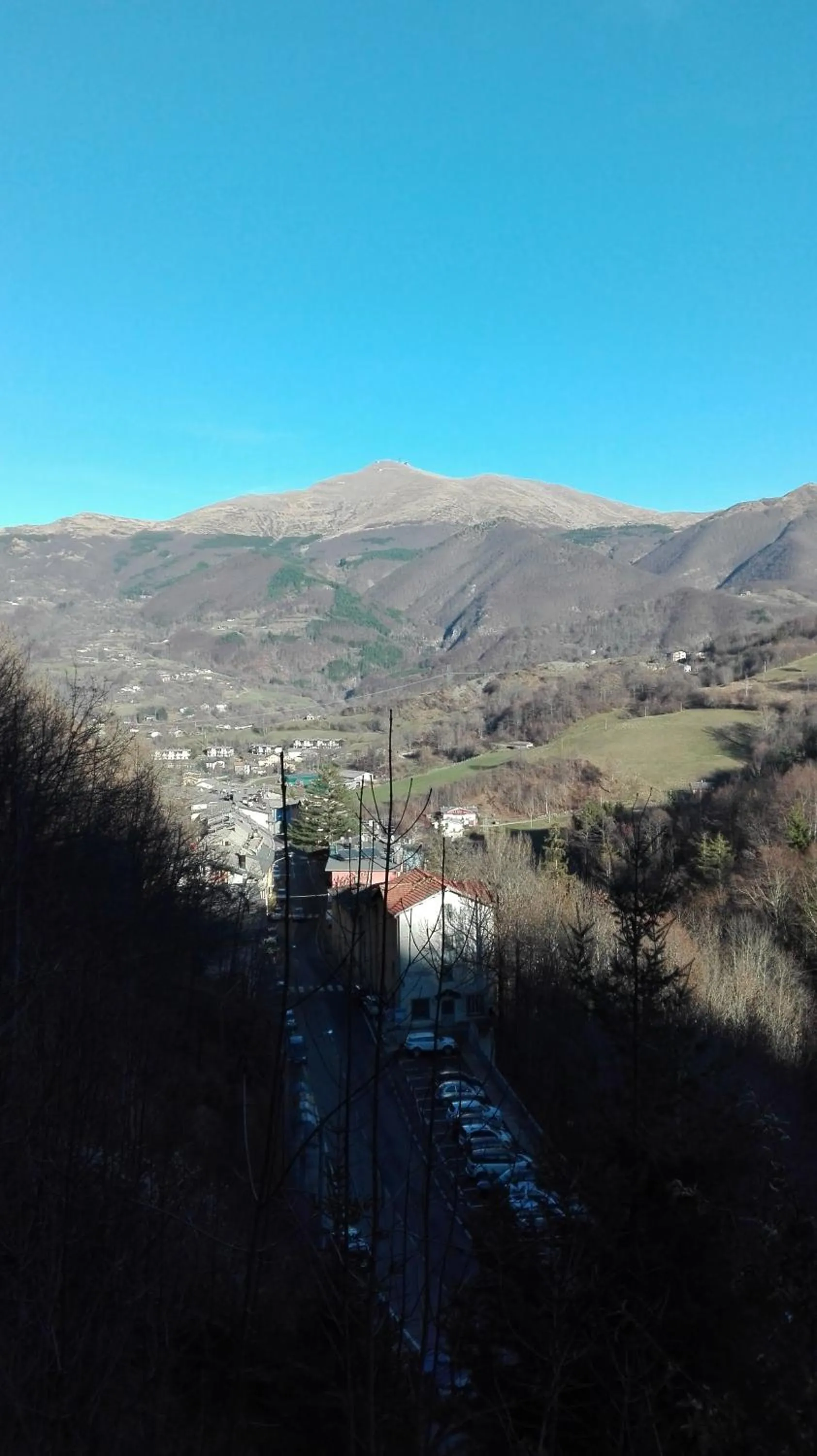 Natural landscape in Hotel Bristol