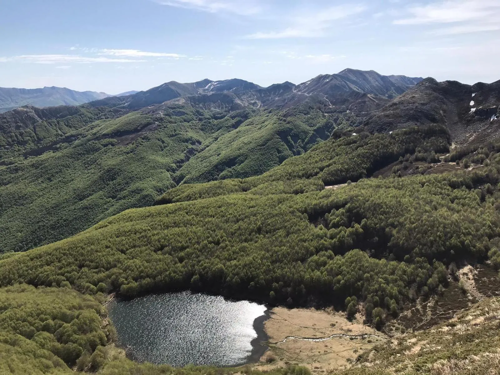 Natural landscape in Hotel Bristol