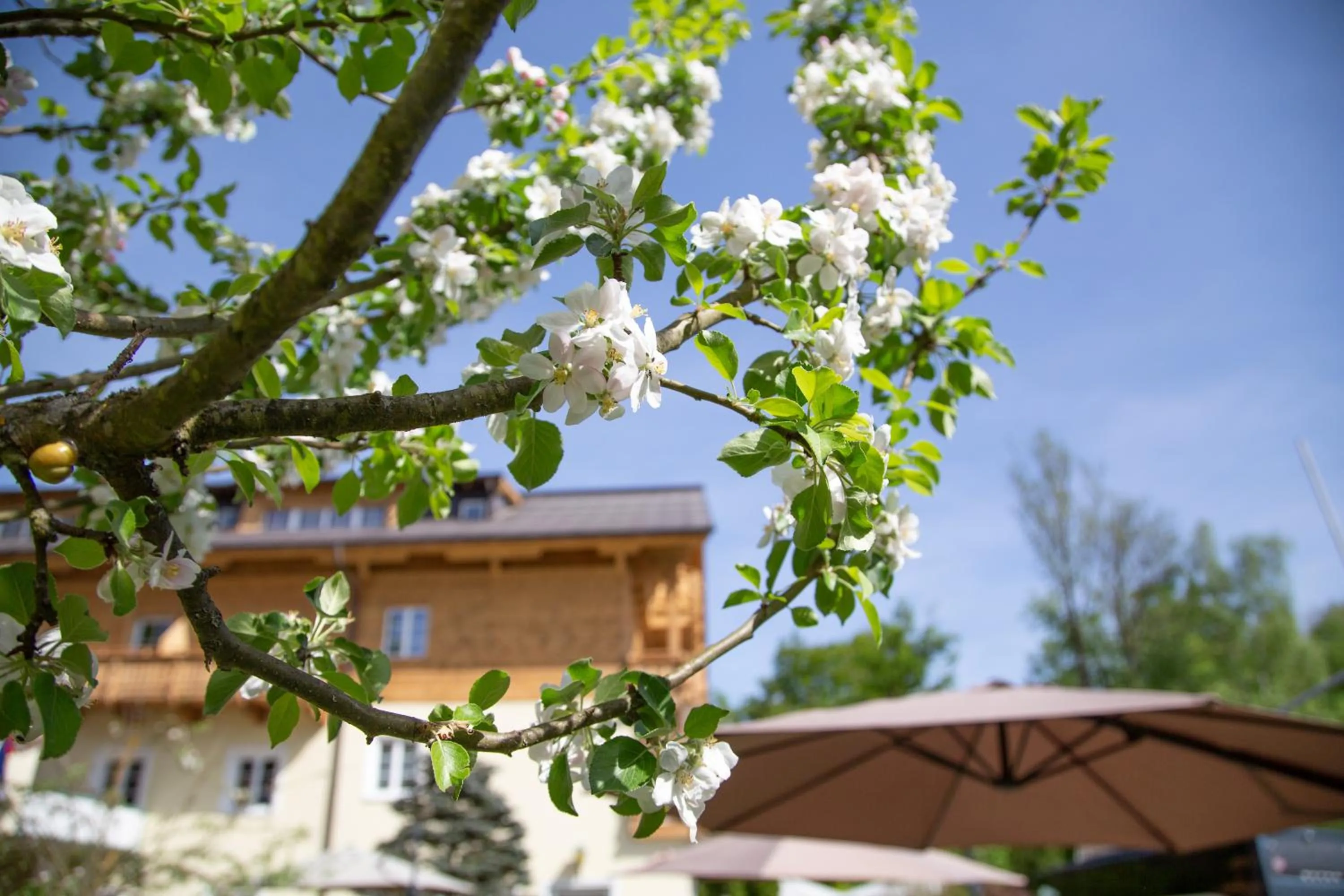 Garden view in Hotel Försterhof lebe pur, genieße den Tag