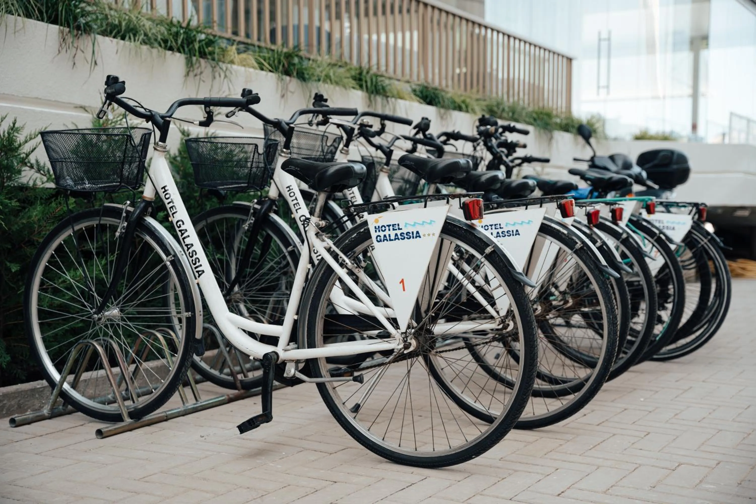 Hiking in Hotel Galassia Suites & Spa