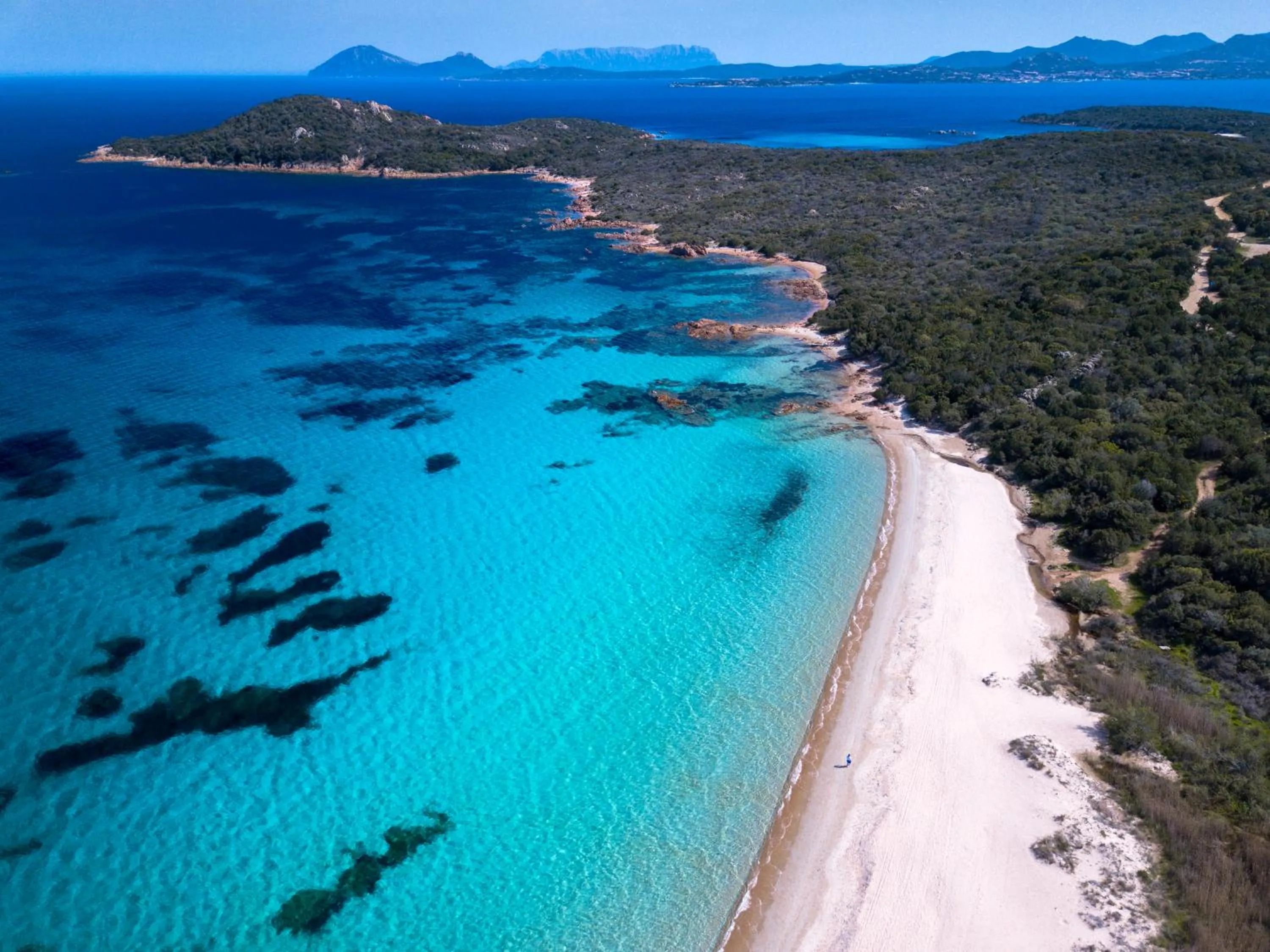 Residence Bougainvillae