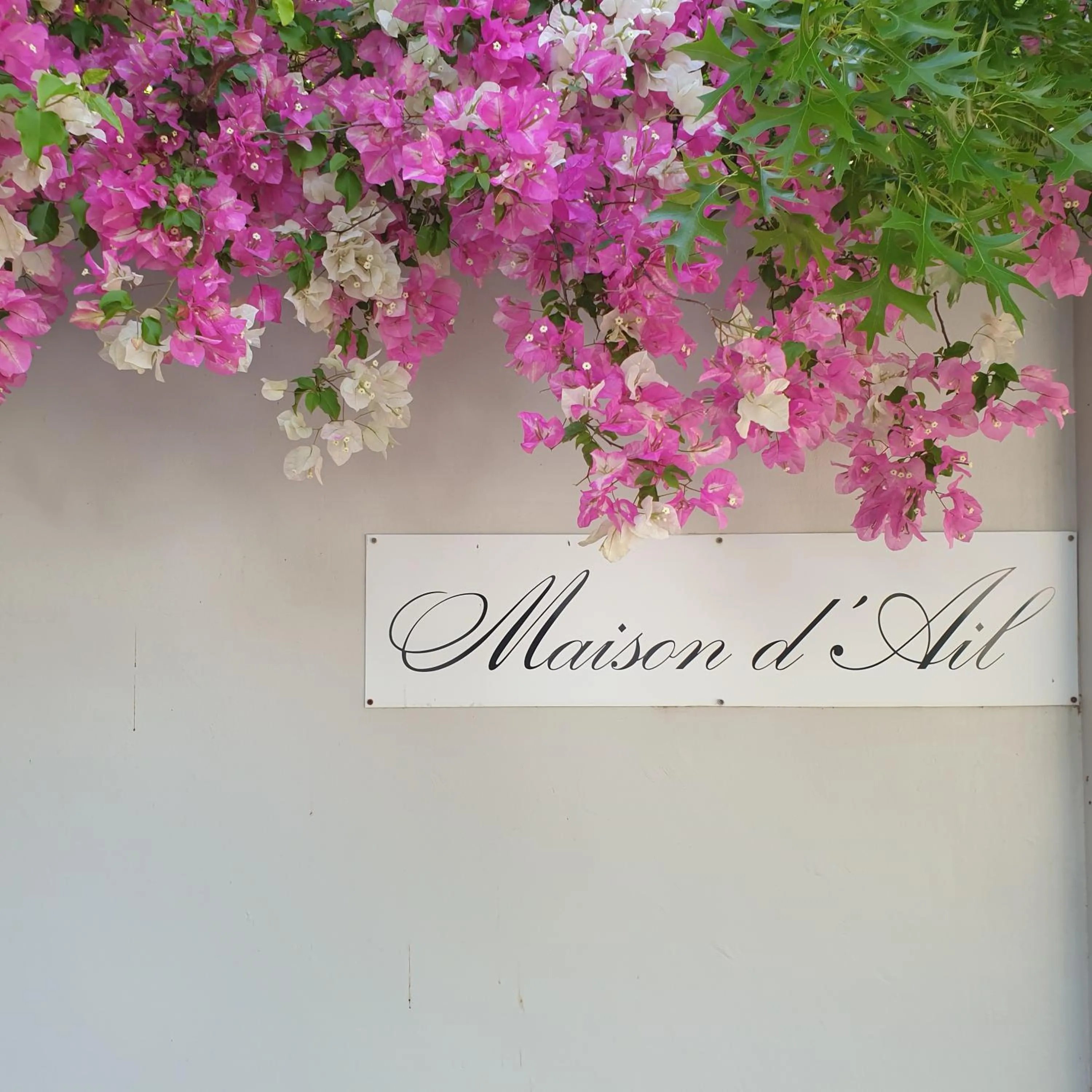 Property logo or sign in Maison d'Ail Guest House