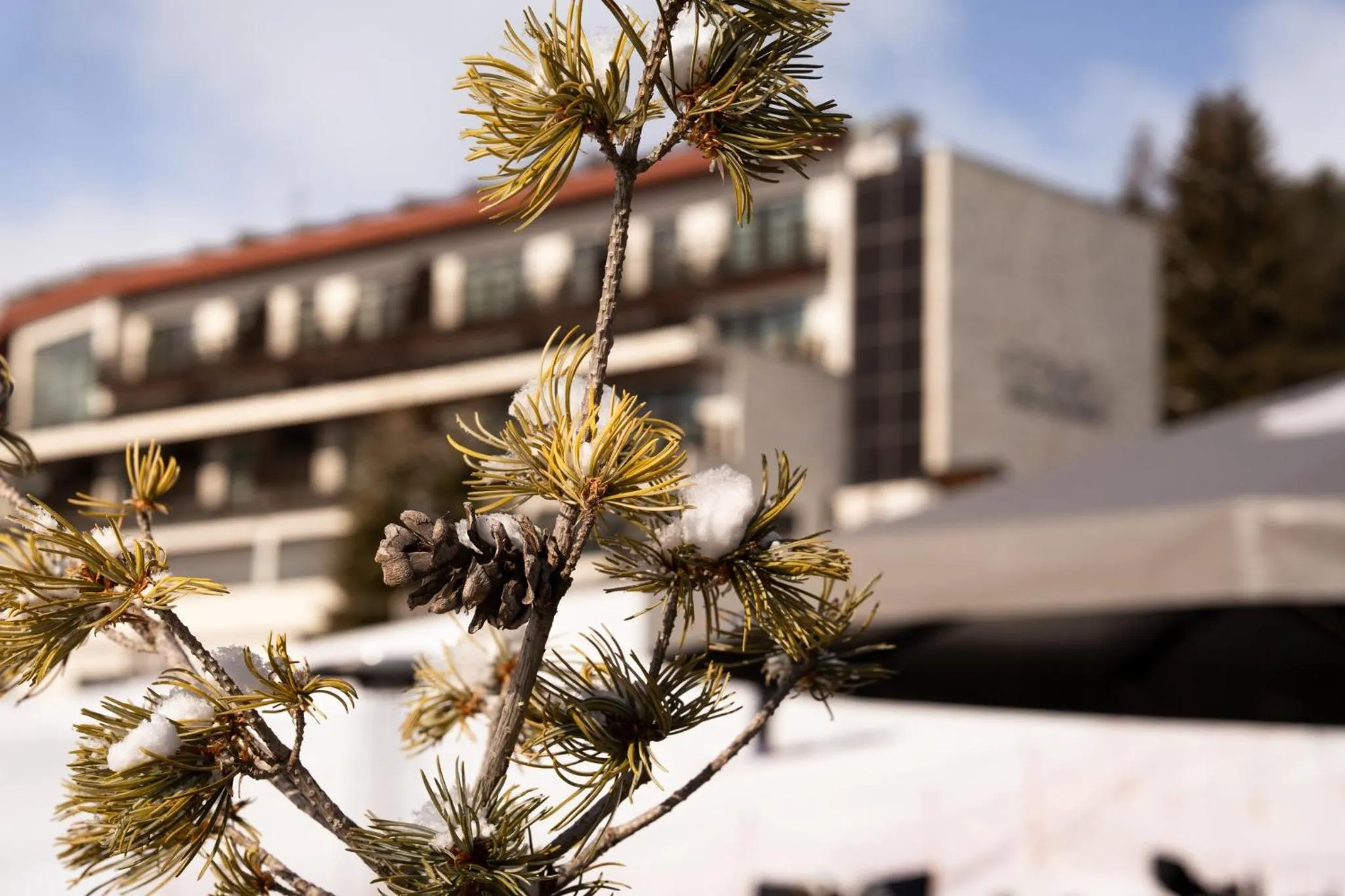 Property building in COMO Alpina Dolomites