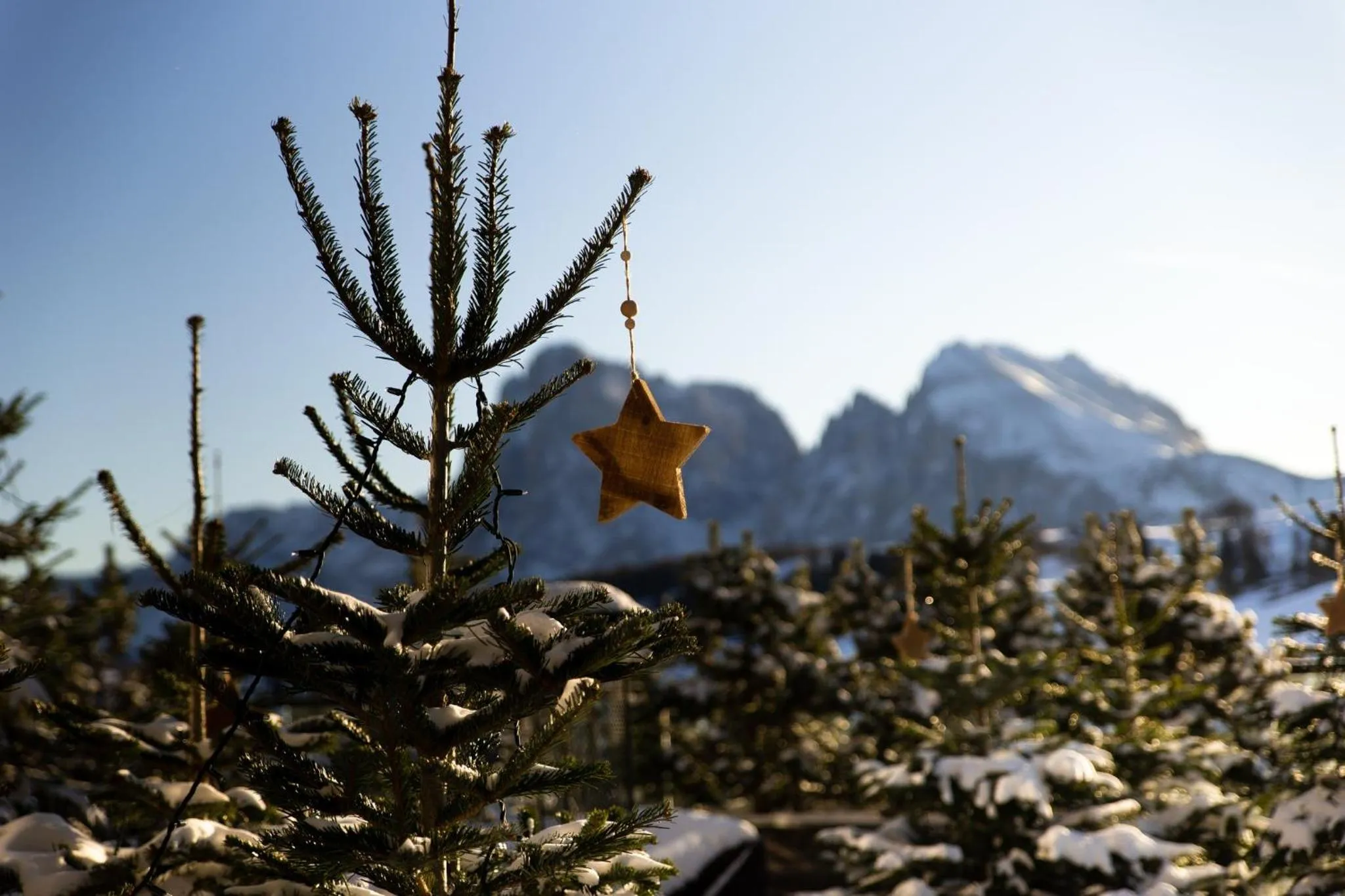 Balcony/Terrace in COMO Alpina Dolomites