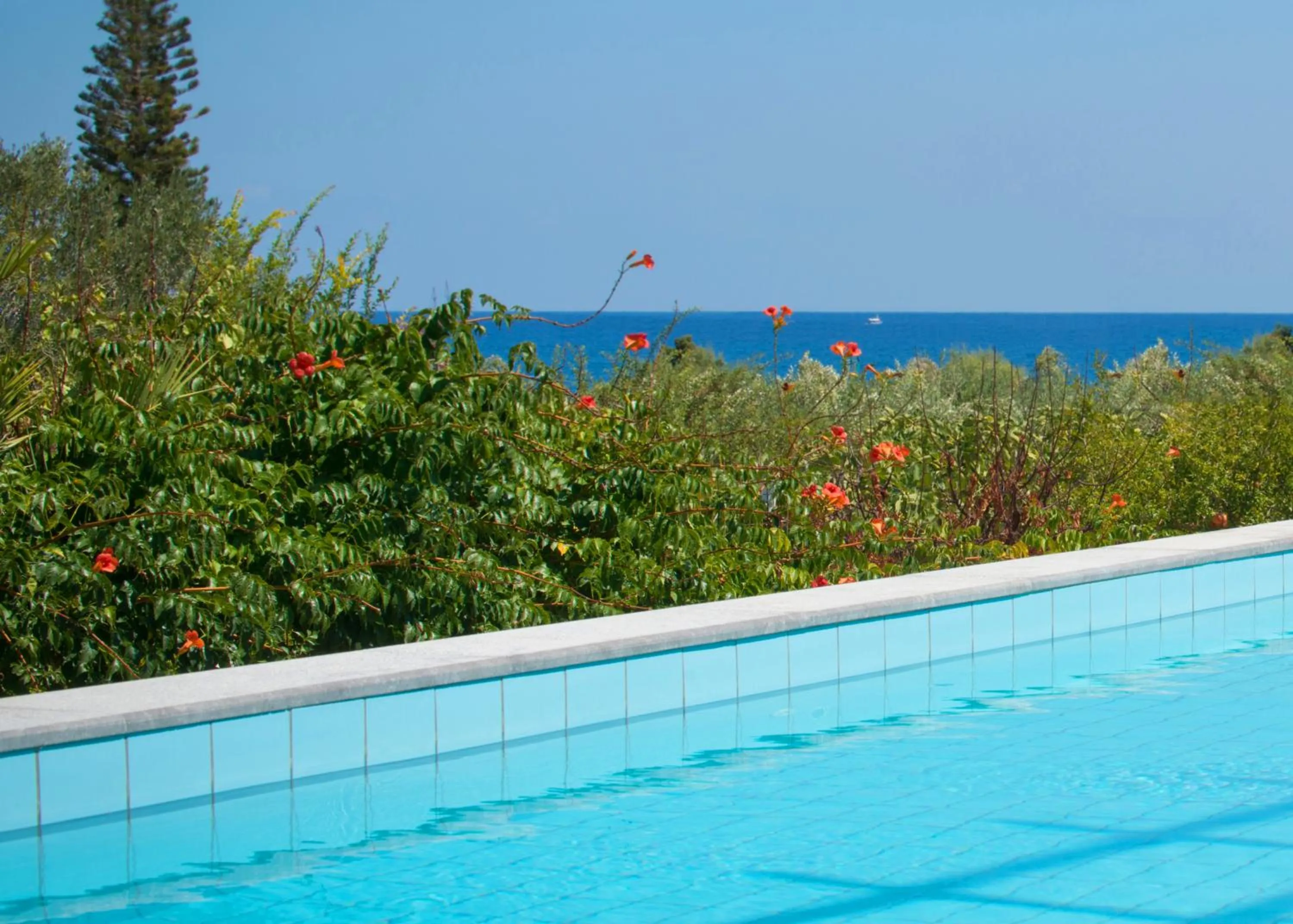 Swimming pool in Hersonissos Maris