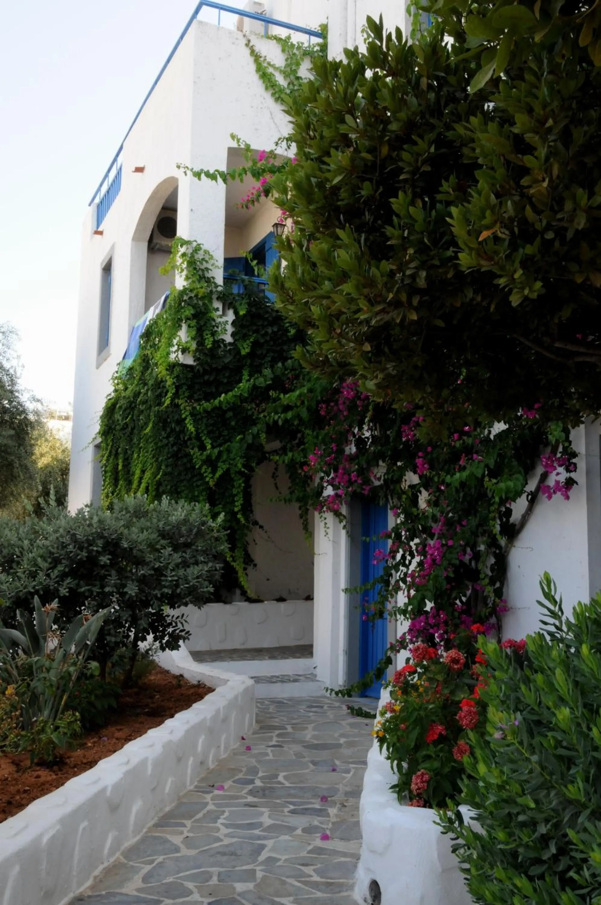 Garden in Hersonissos Village Hotel & Bungalows