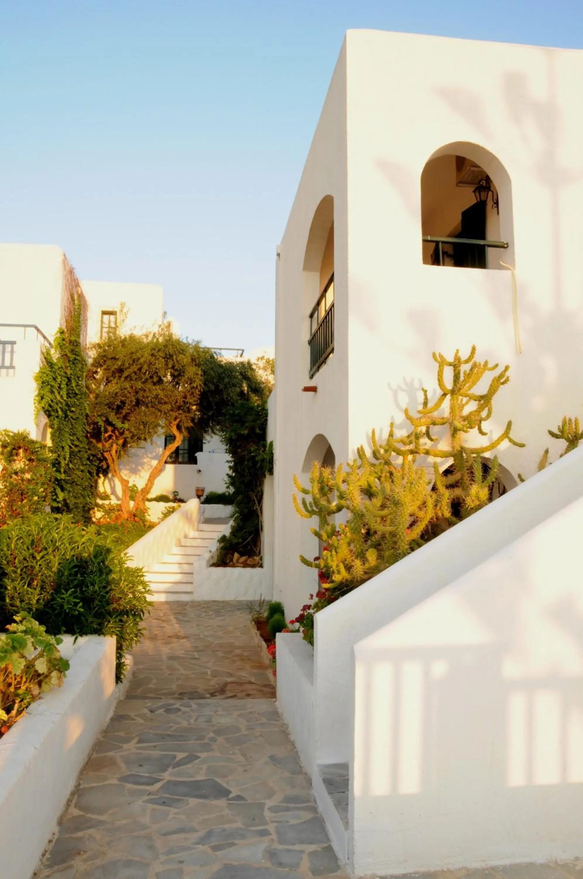 Garden in Hersonissos Village Hotel & Bungalows