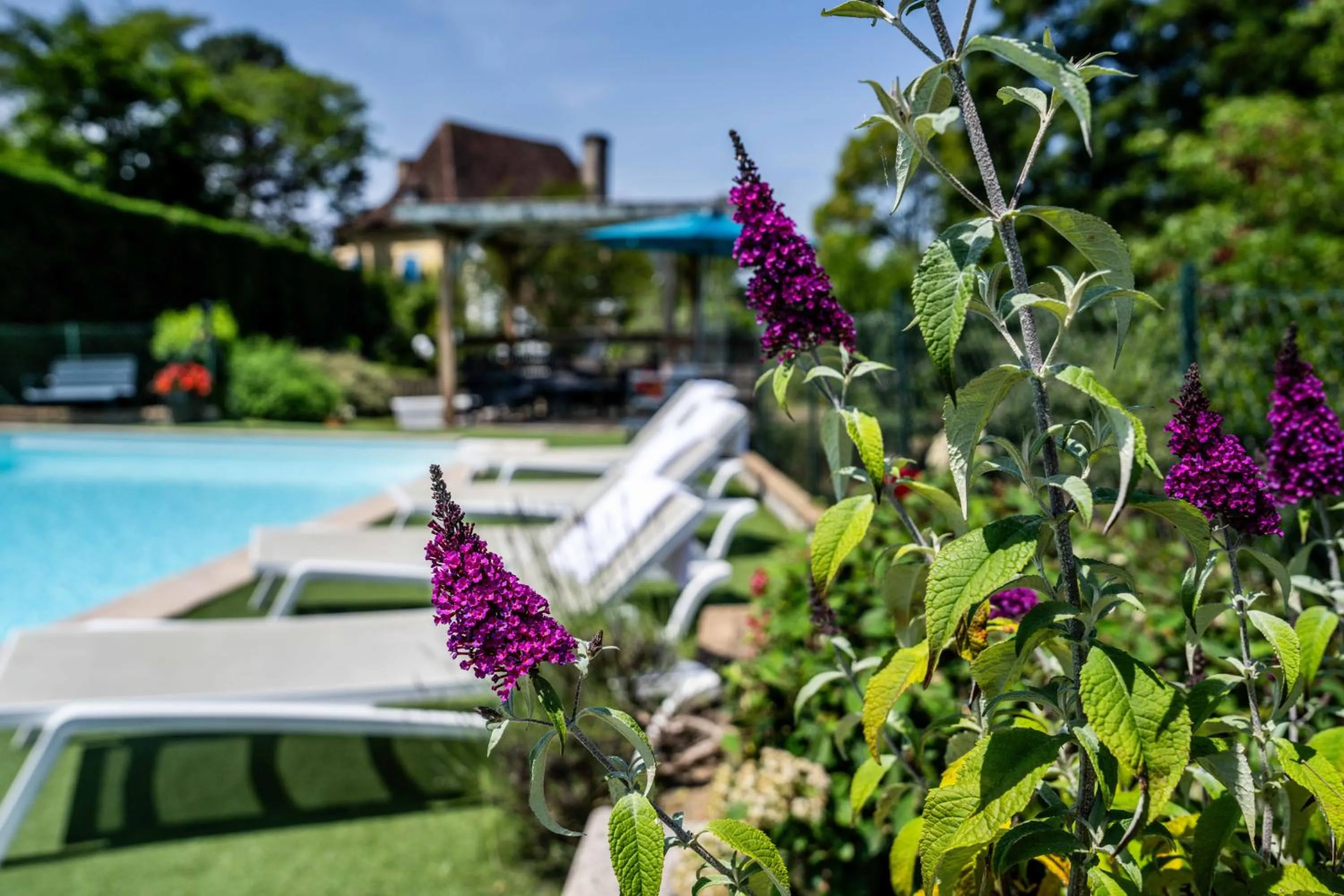 Garden in Logis Auberge du Relais - Hôtel & Restaurant
