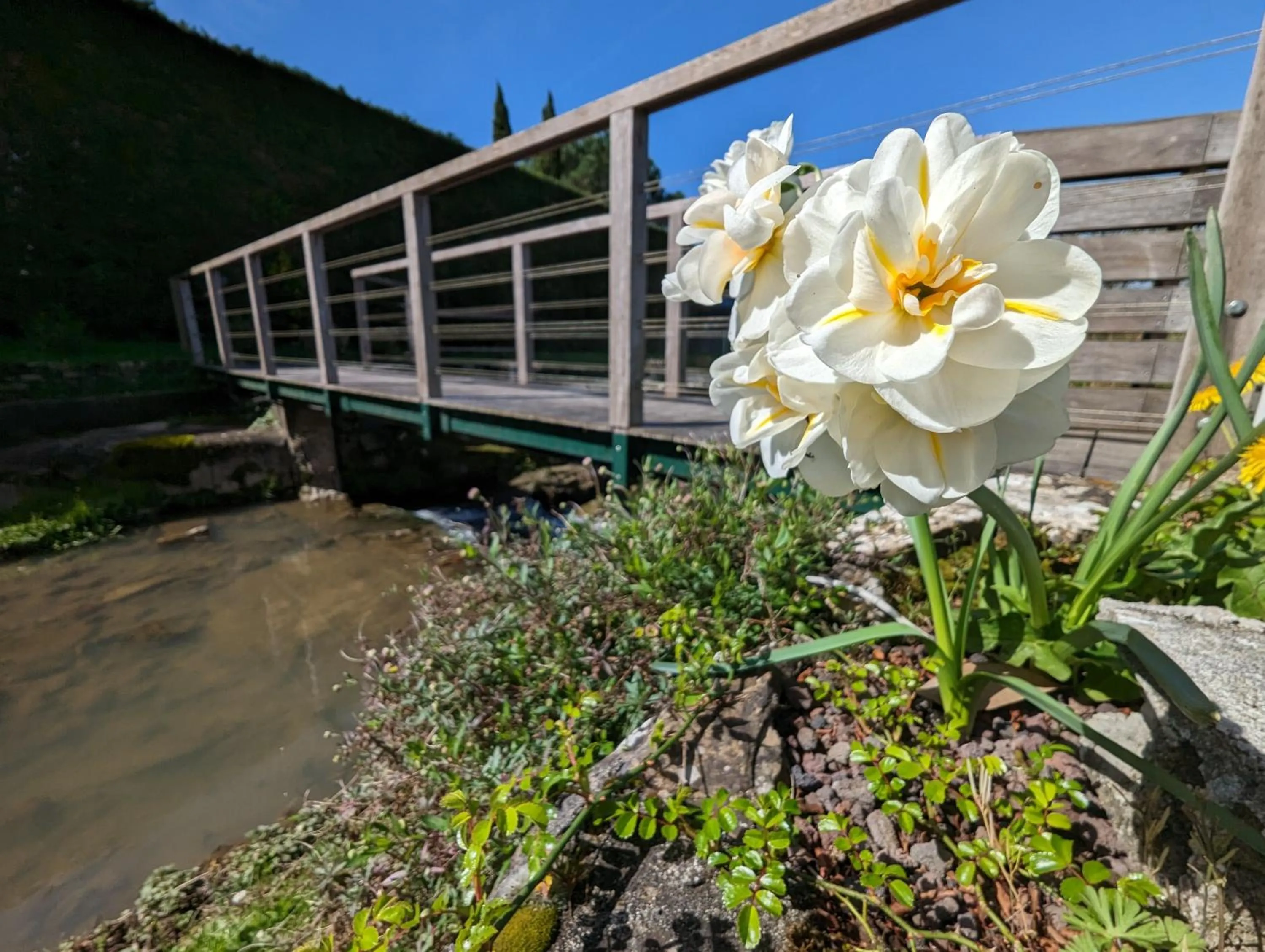 Garden in Logis Auberge du Relais - Hôtel & Restaurant