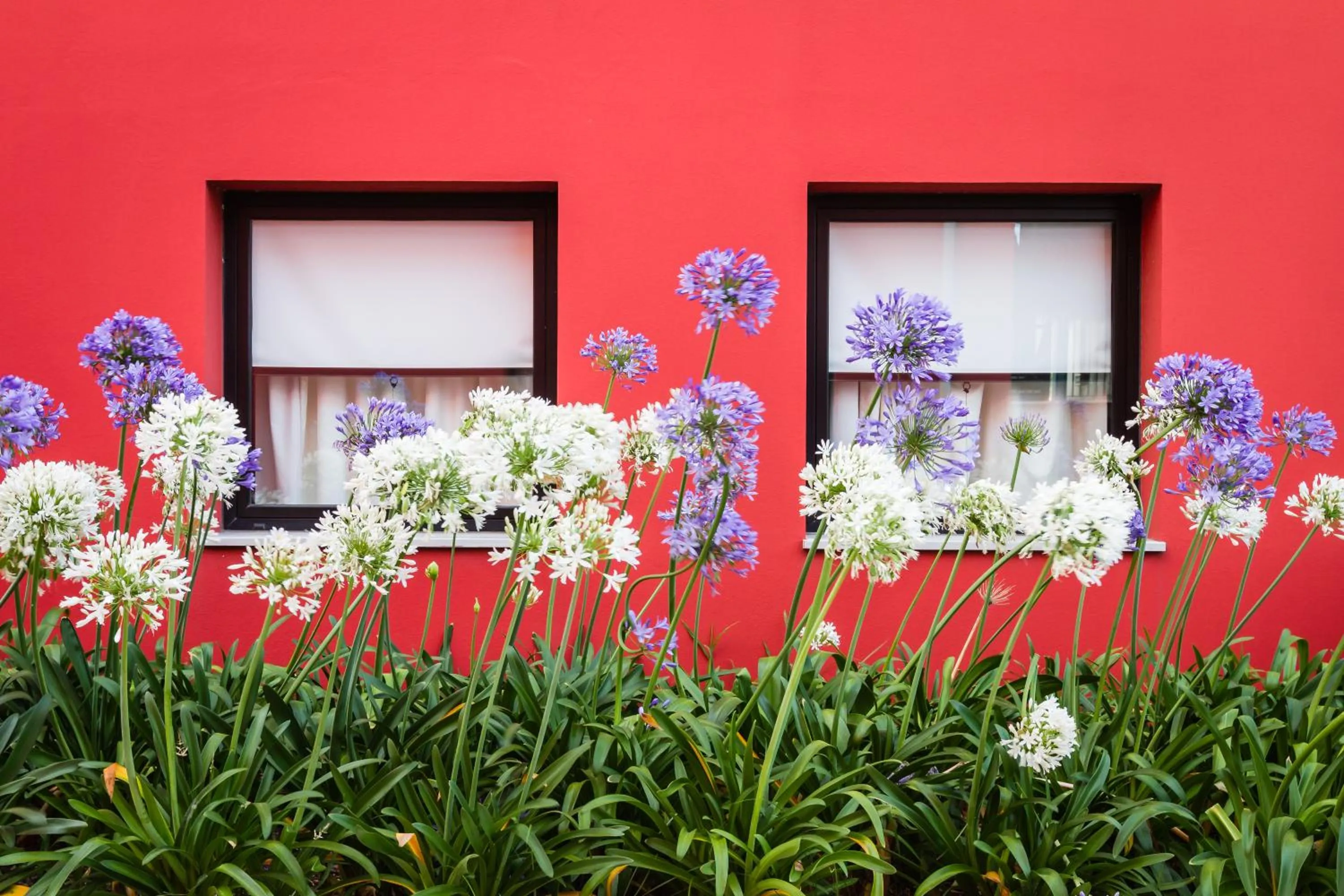Garden in Hotel Ibis Lisboa Sintra