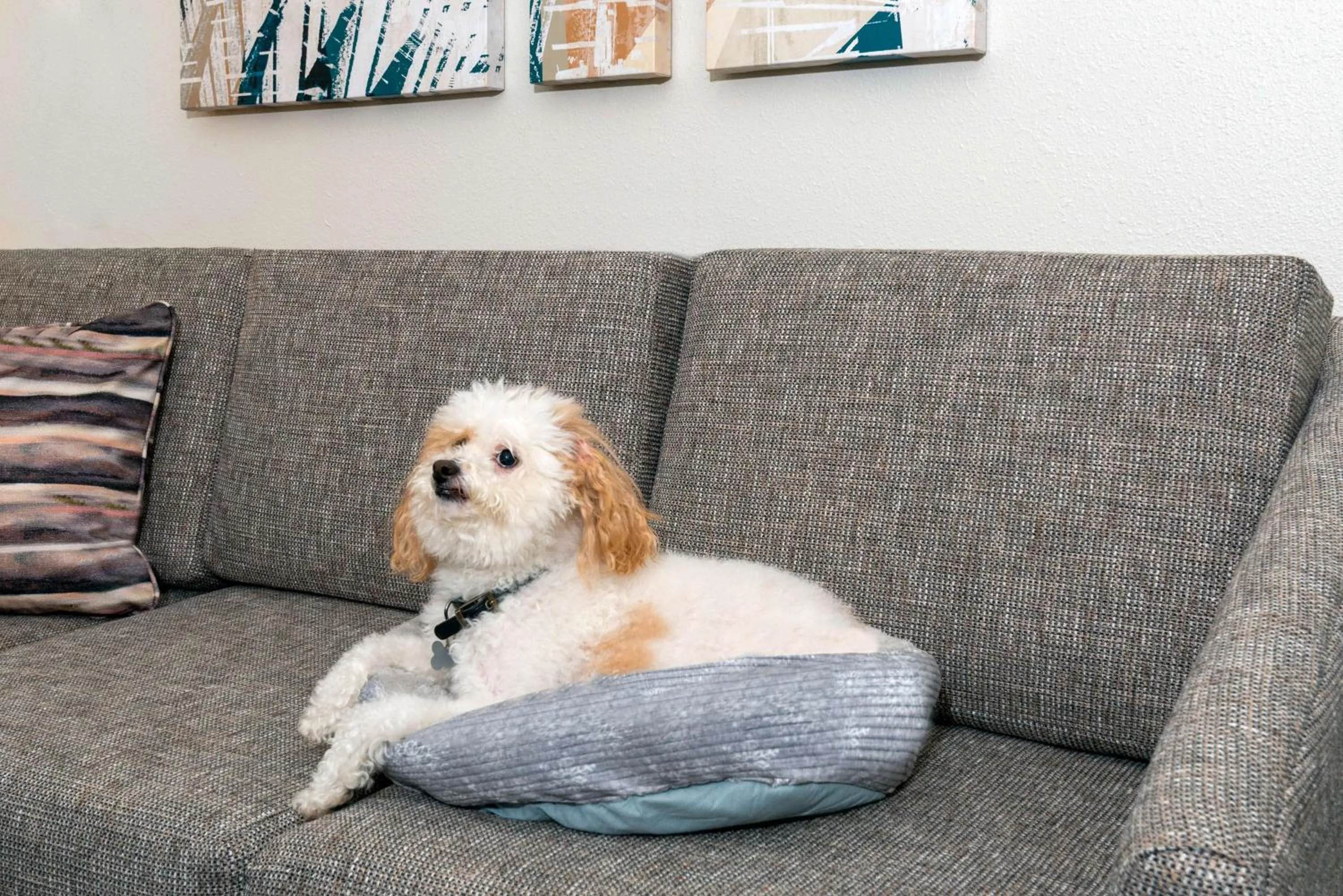 Other in Homewood Suites by Hilton Orlando-Nearest to Universal Studios