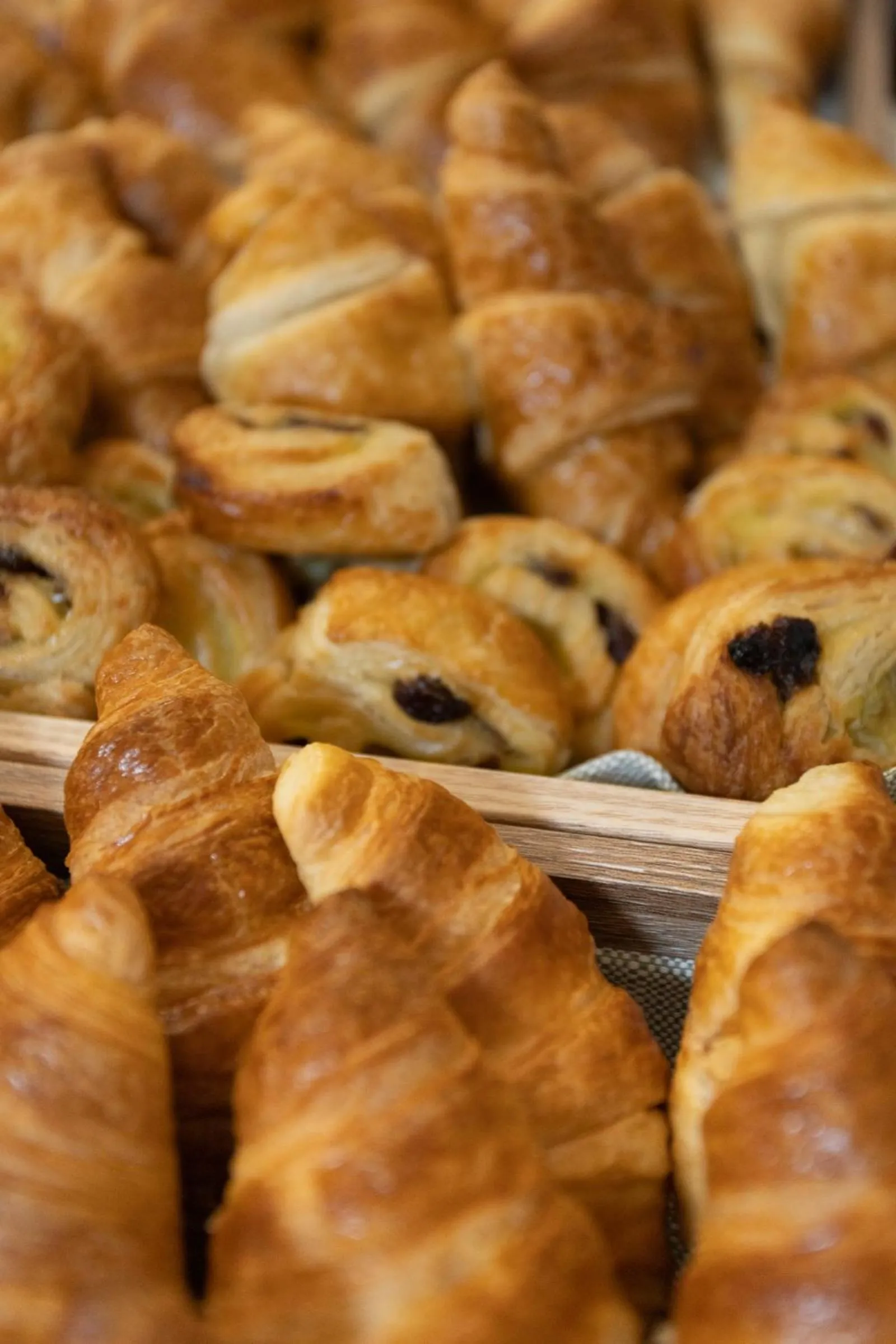 Lounge or bar in Hotel Roma