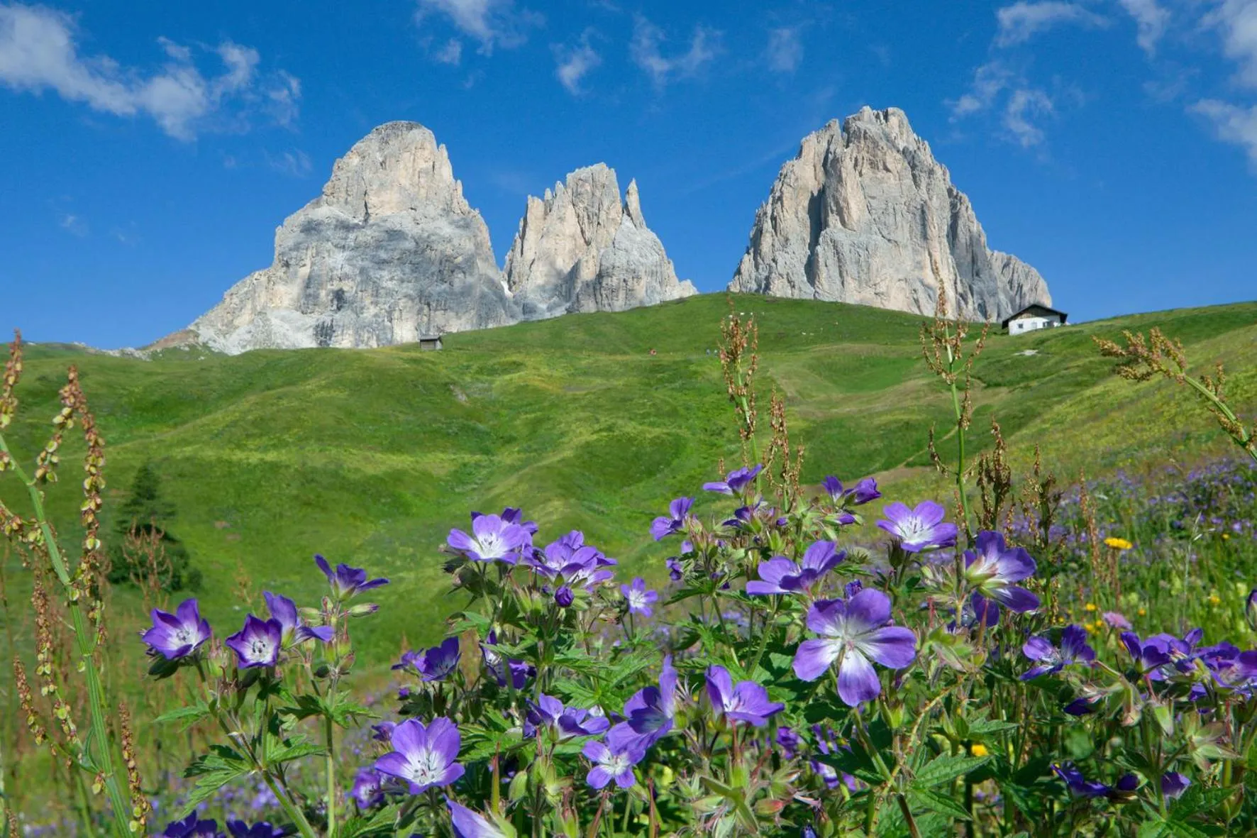 View (from property/room) in Latemar - Hotel Suites Spa