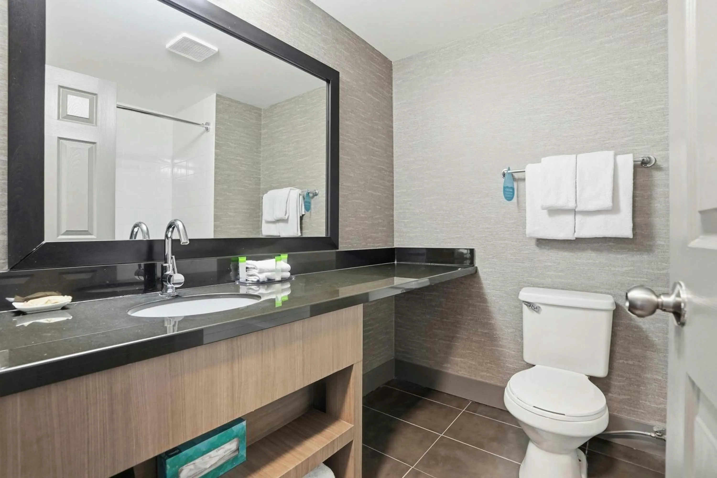 Bathroom in Sandman Hotel Saskatoon