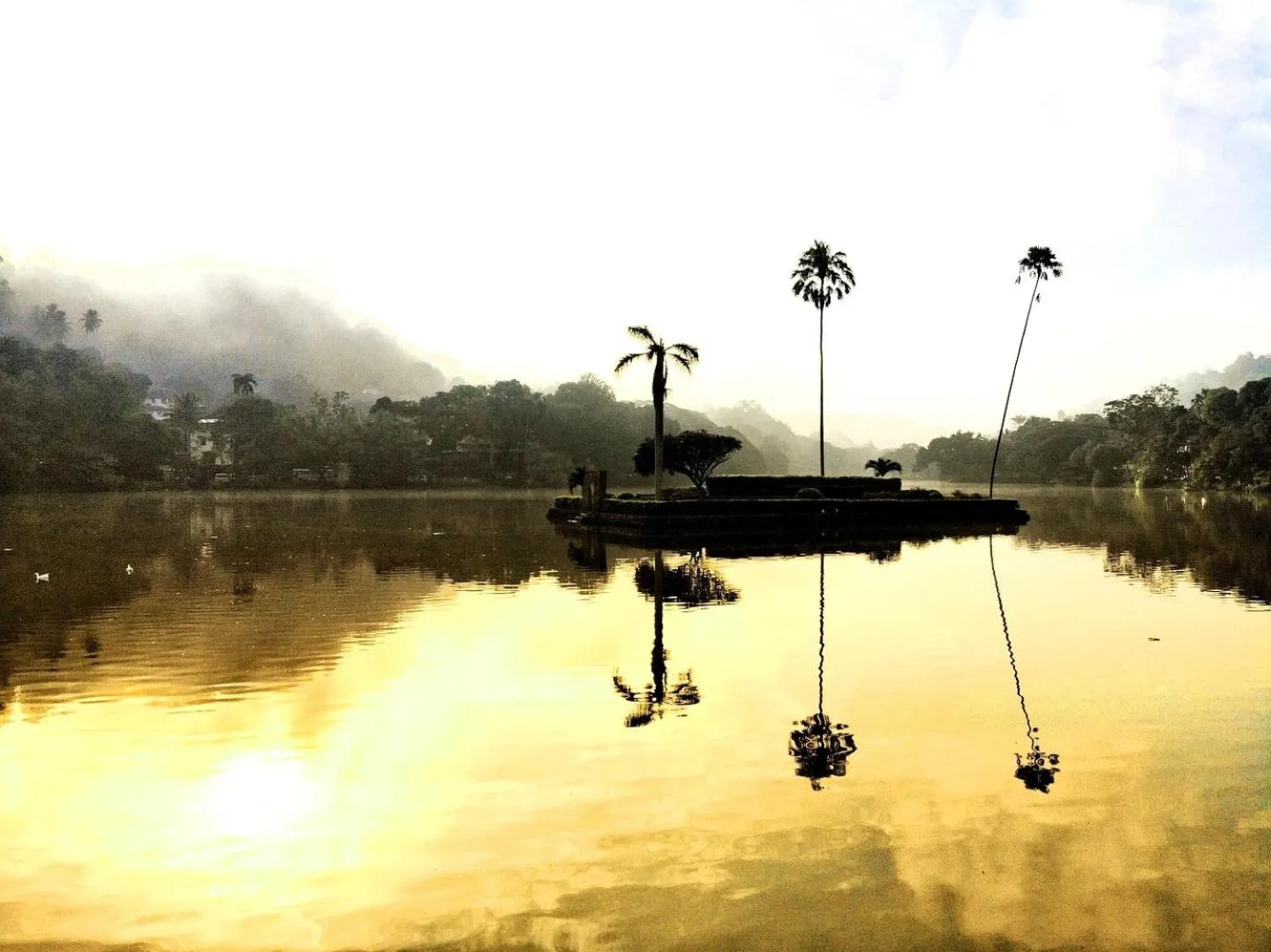 Natural landscape in Lakewood Residence